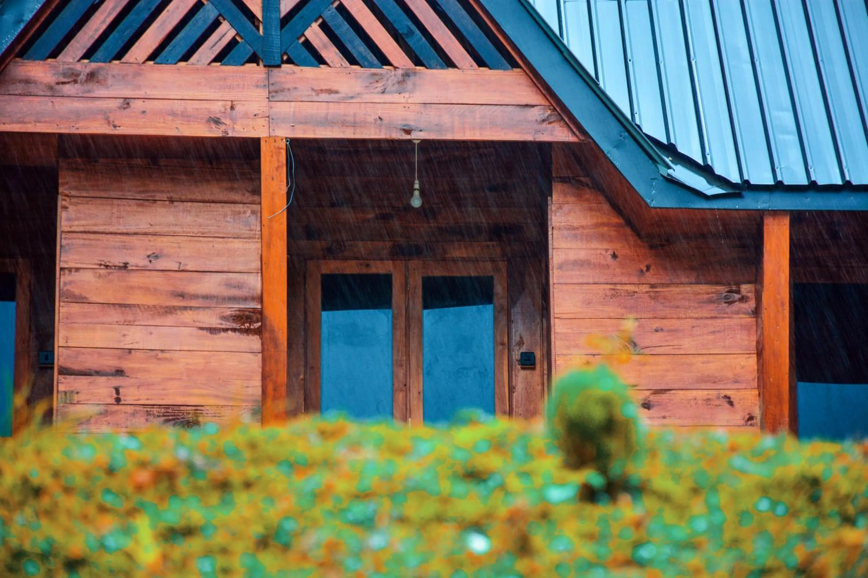 Sinharaja Forest Gate