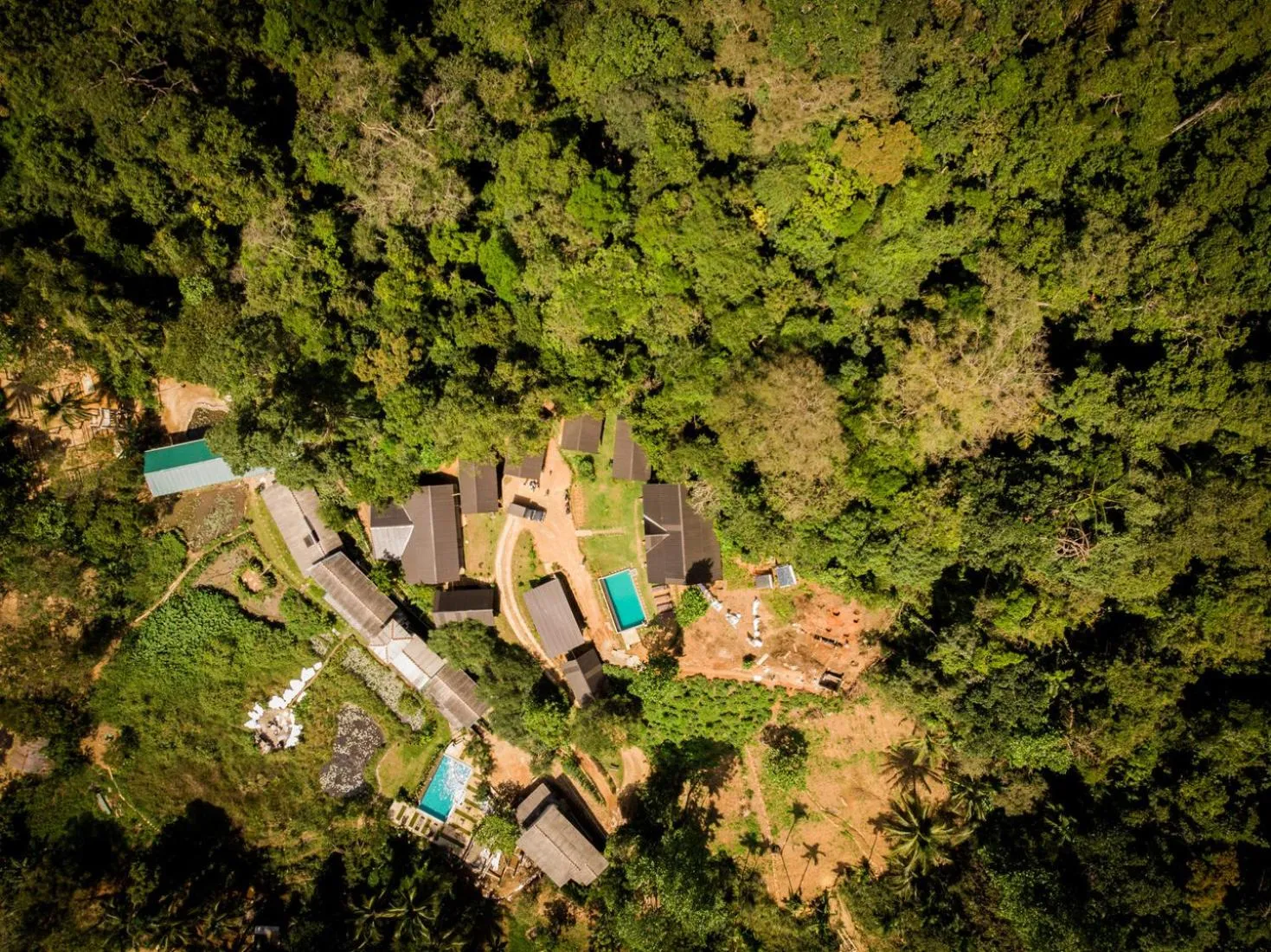 Bird's eye view in Sinharaja Forest Gate