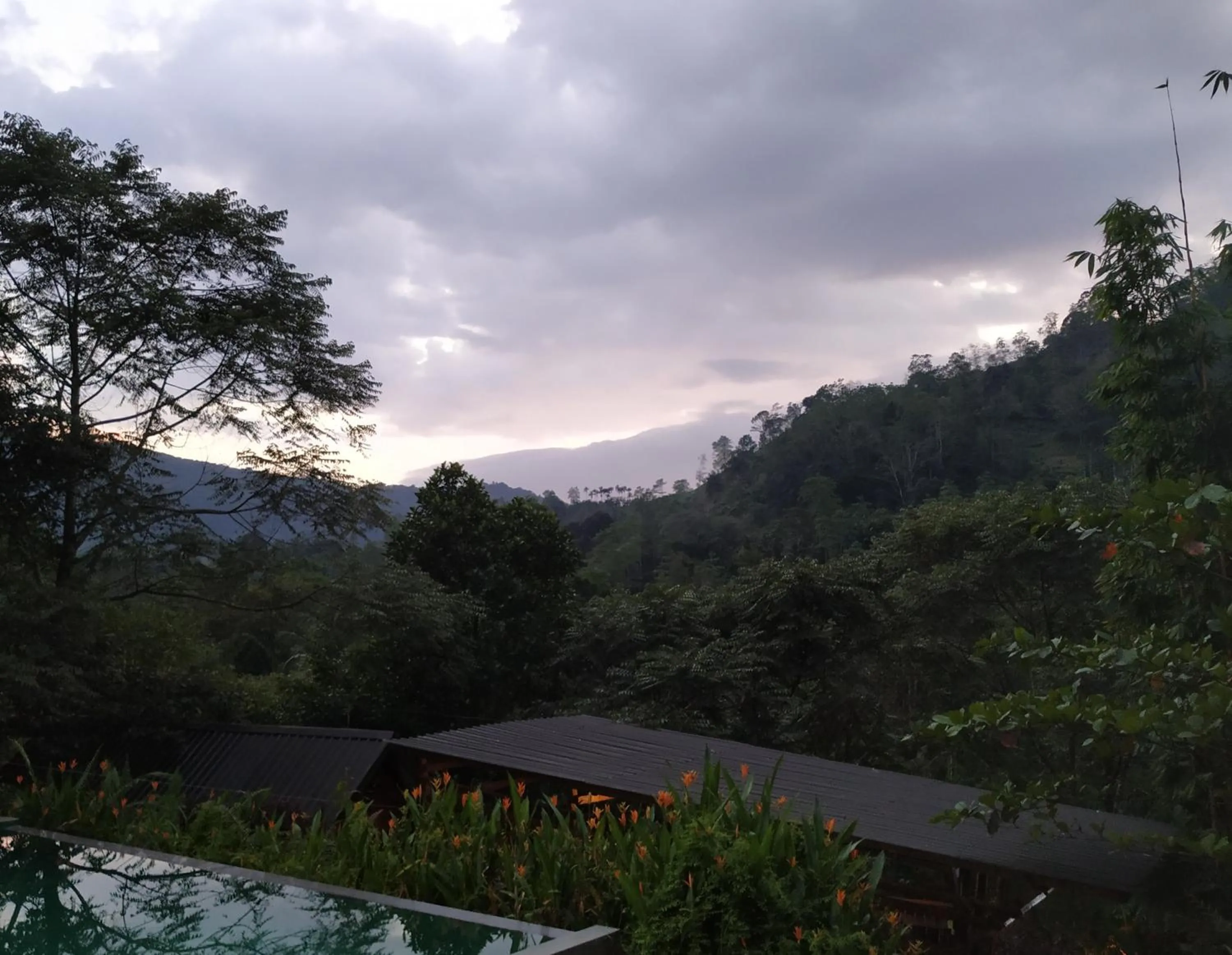 Sinharaja Forest Gate