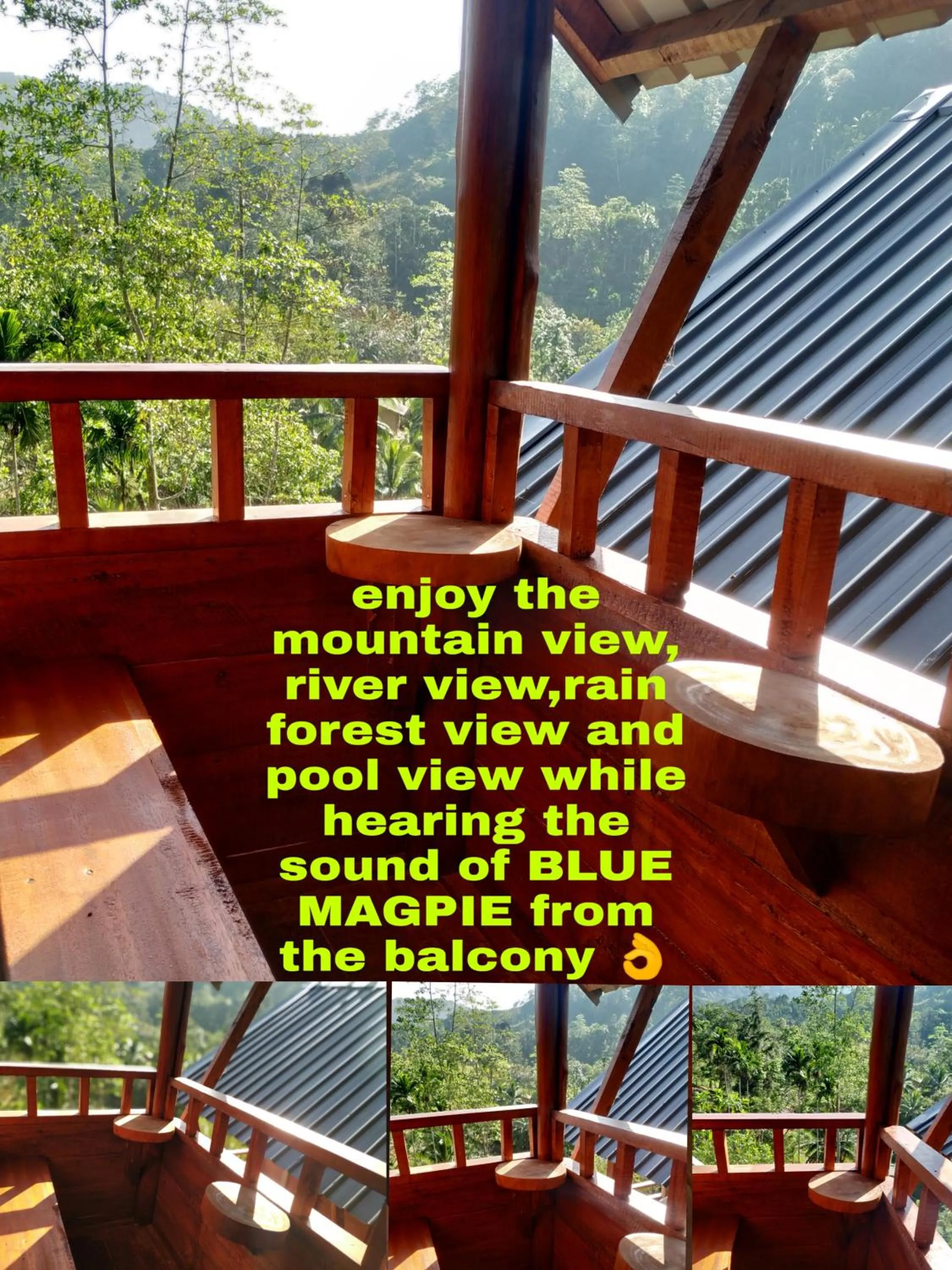 Sinharaja Forest Gate