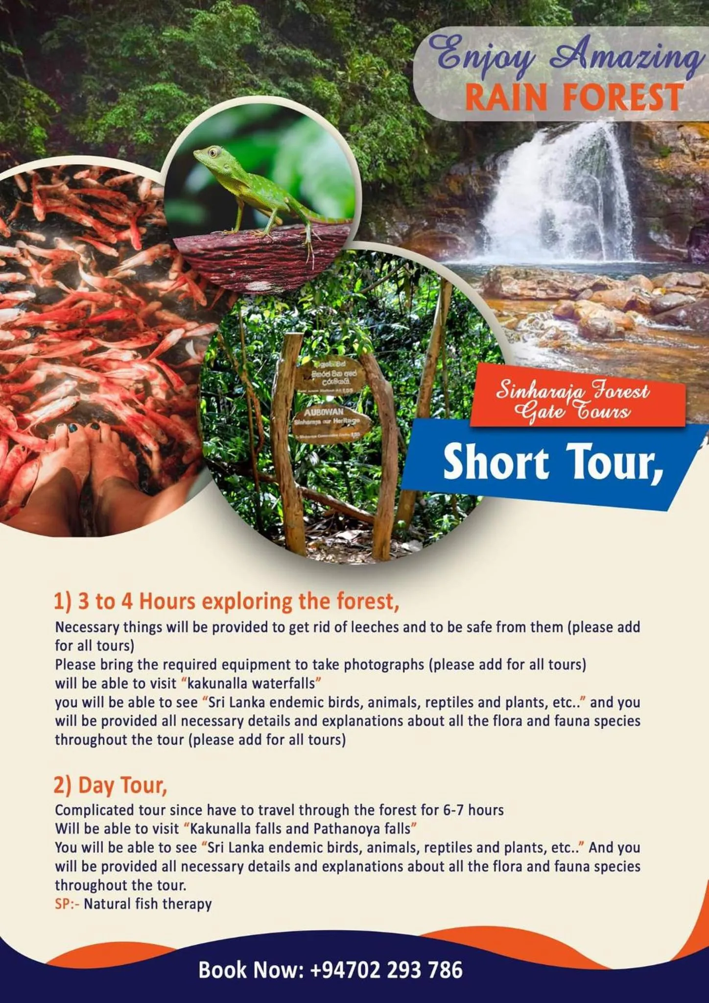 Sinharaja Forest Gate