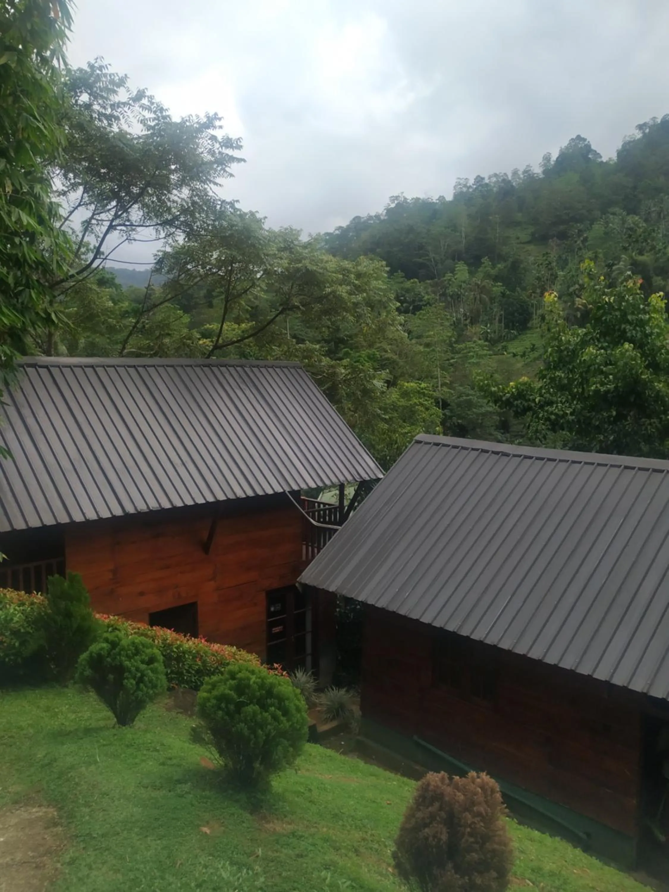 Sinharaja Forest Gate