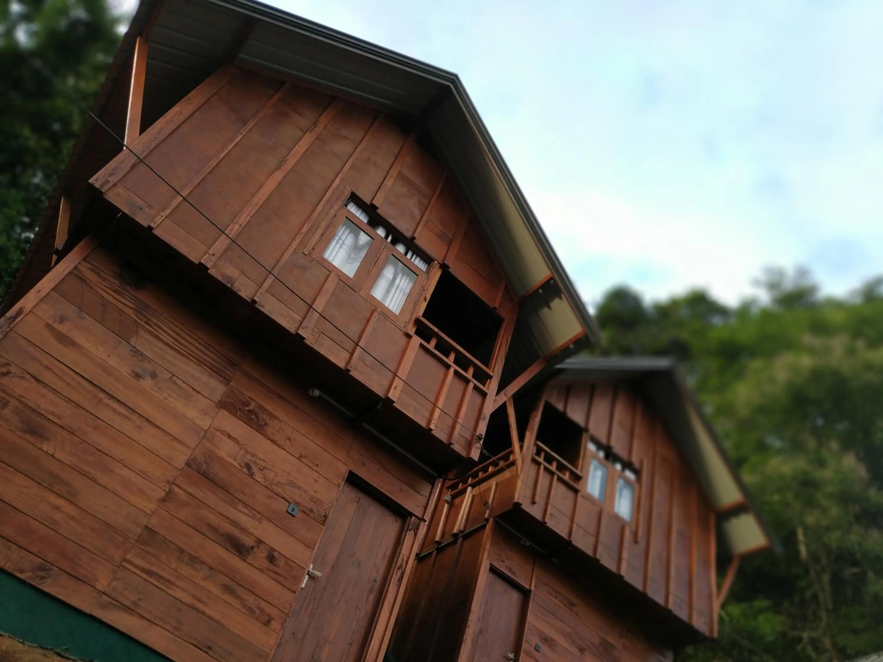 Sinharaja Forest Gate