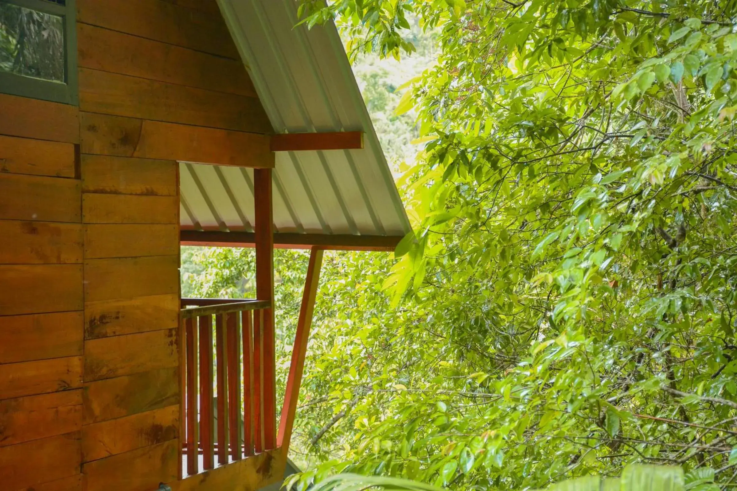 Triple Room with Mountain View - single occupancy in Sinharaja Forest Gate Triple Room with Mountain View - single occupancy in Sinharaja Forest Gate