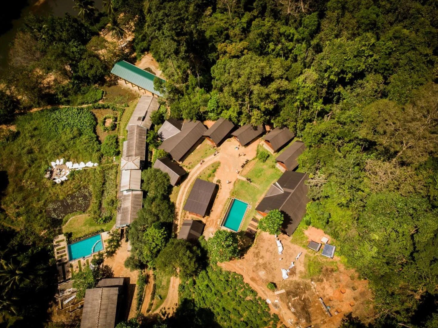Bird's eye view in Sinharaja Forest Gate