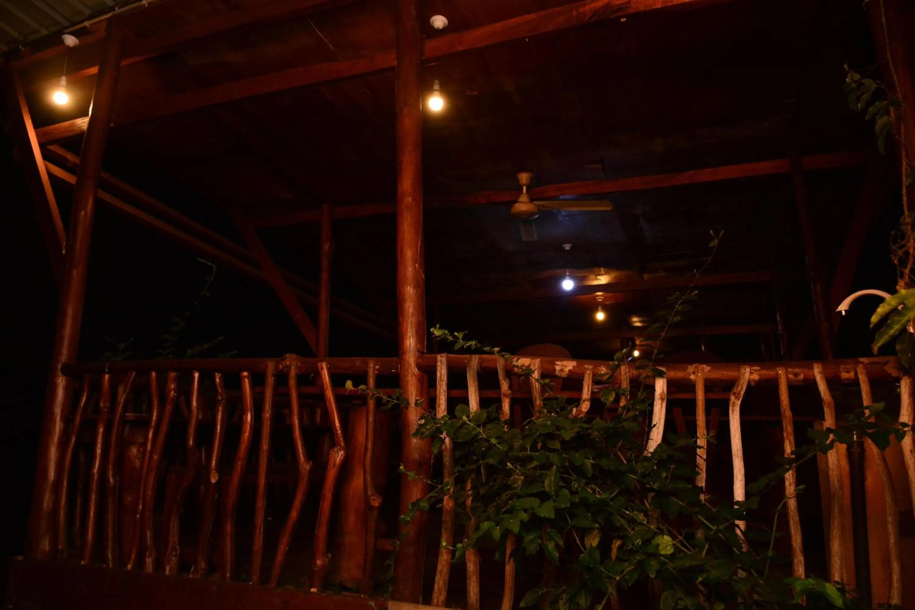 Sinharaja Forest Gate