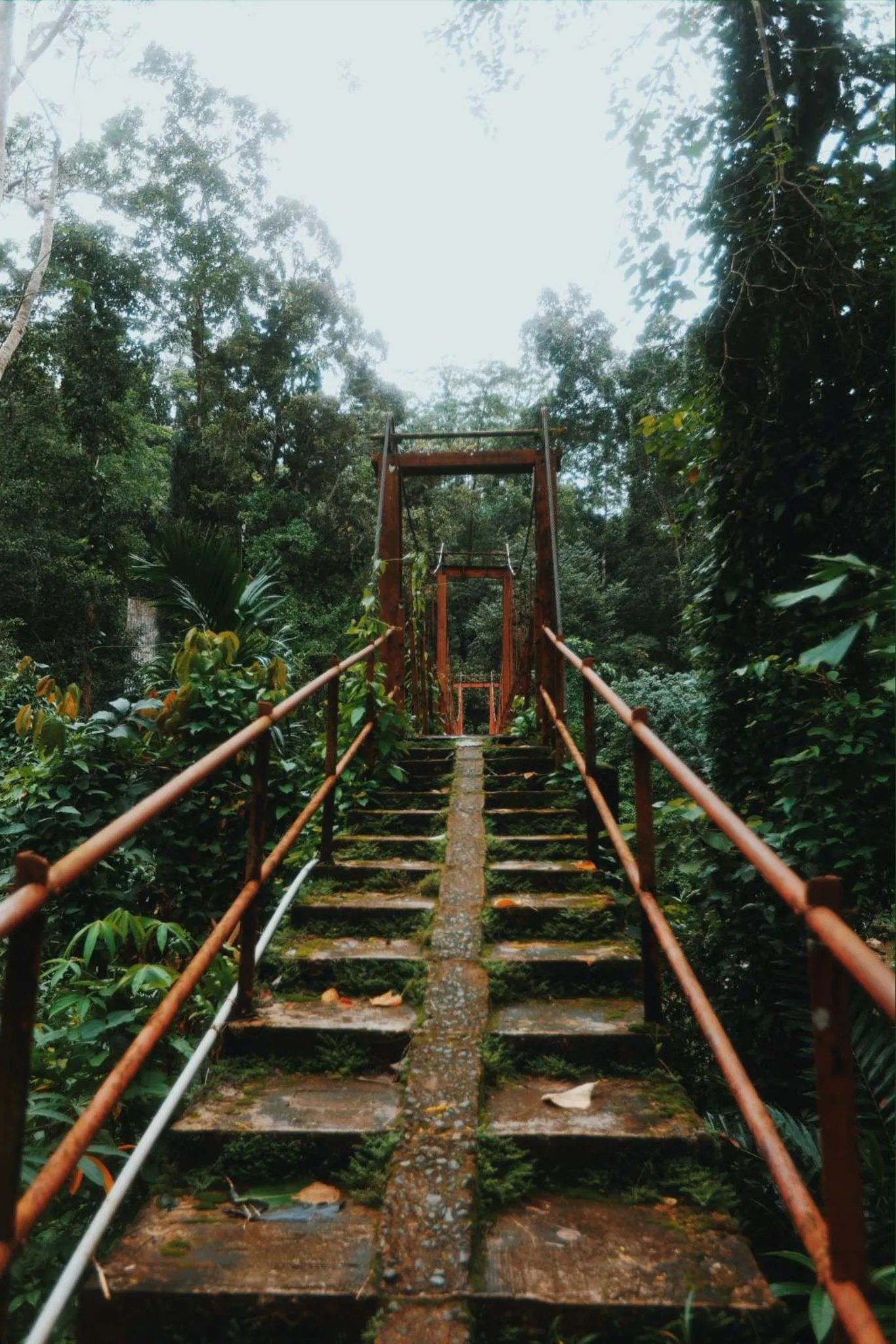 Sinharaja Forest Gate