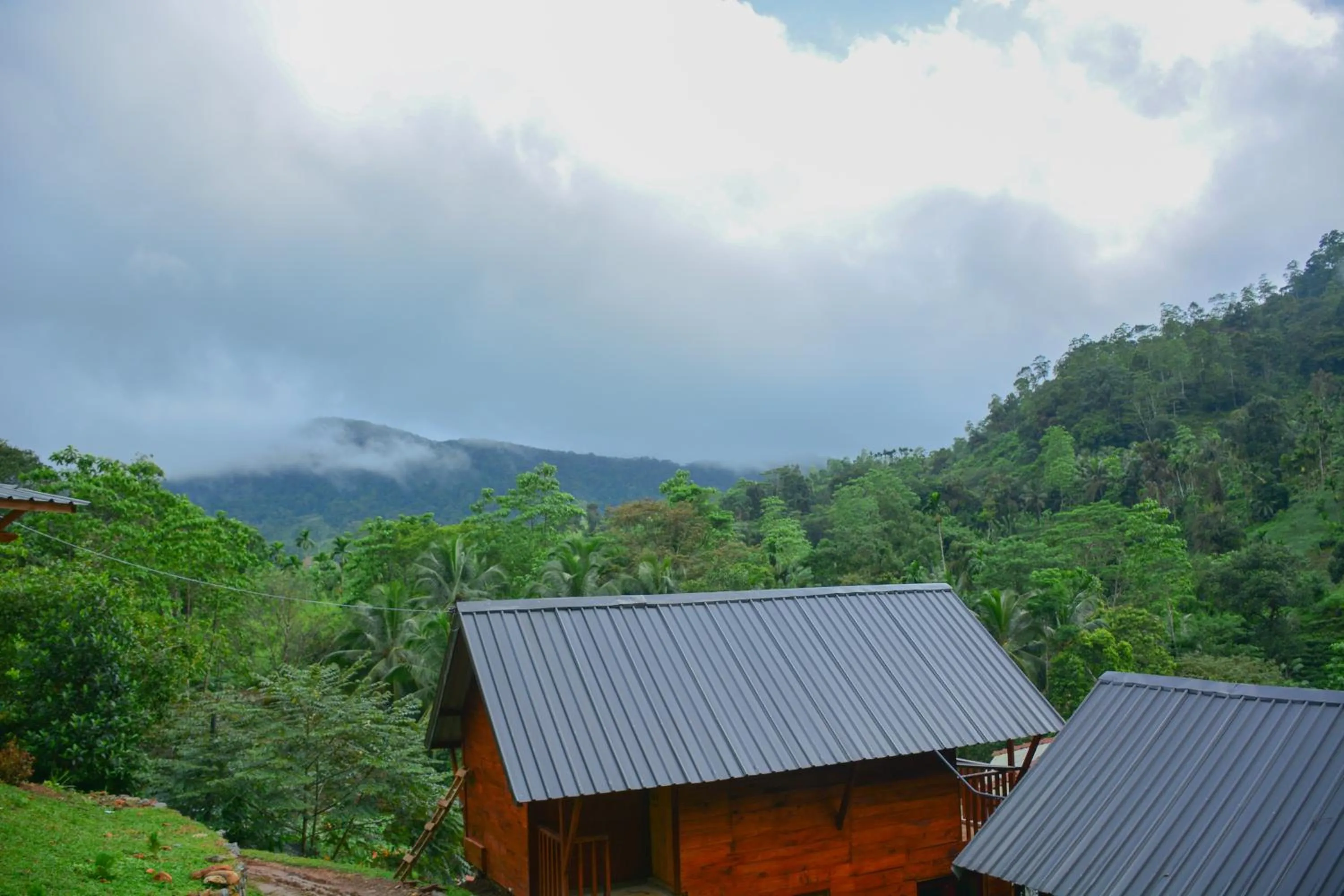 Sinharaja Forest Gate