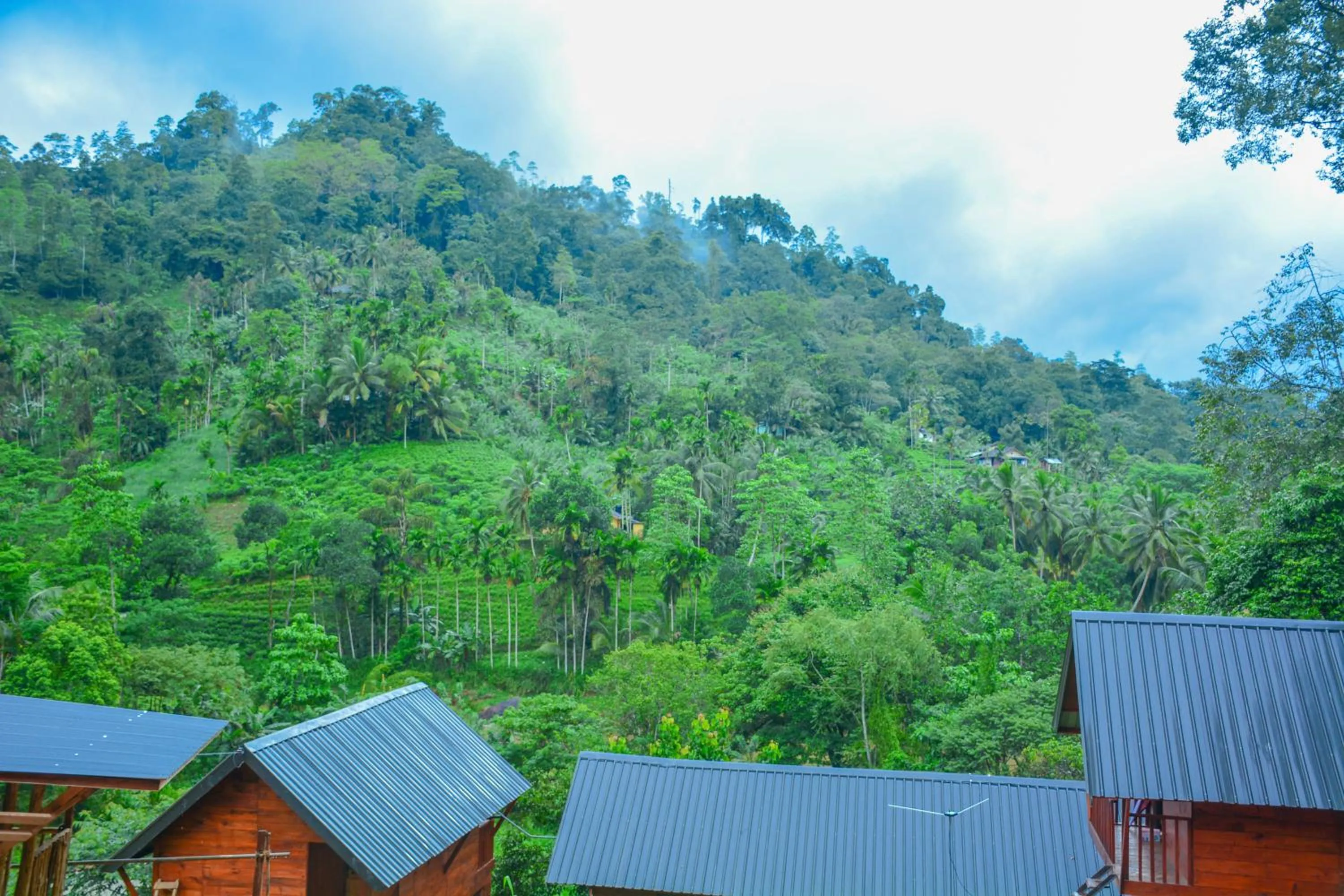 Sinharaja Forest Gate