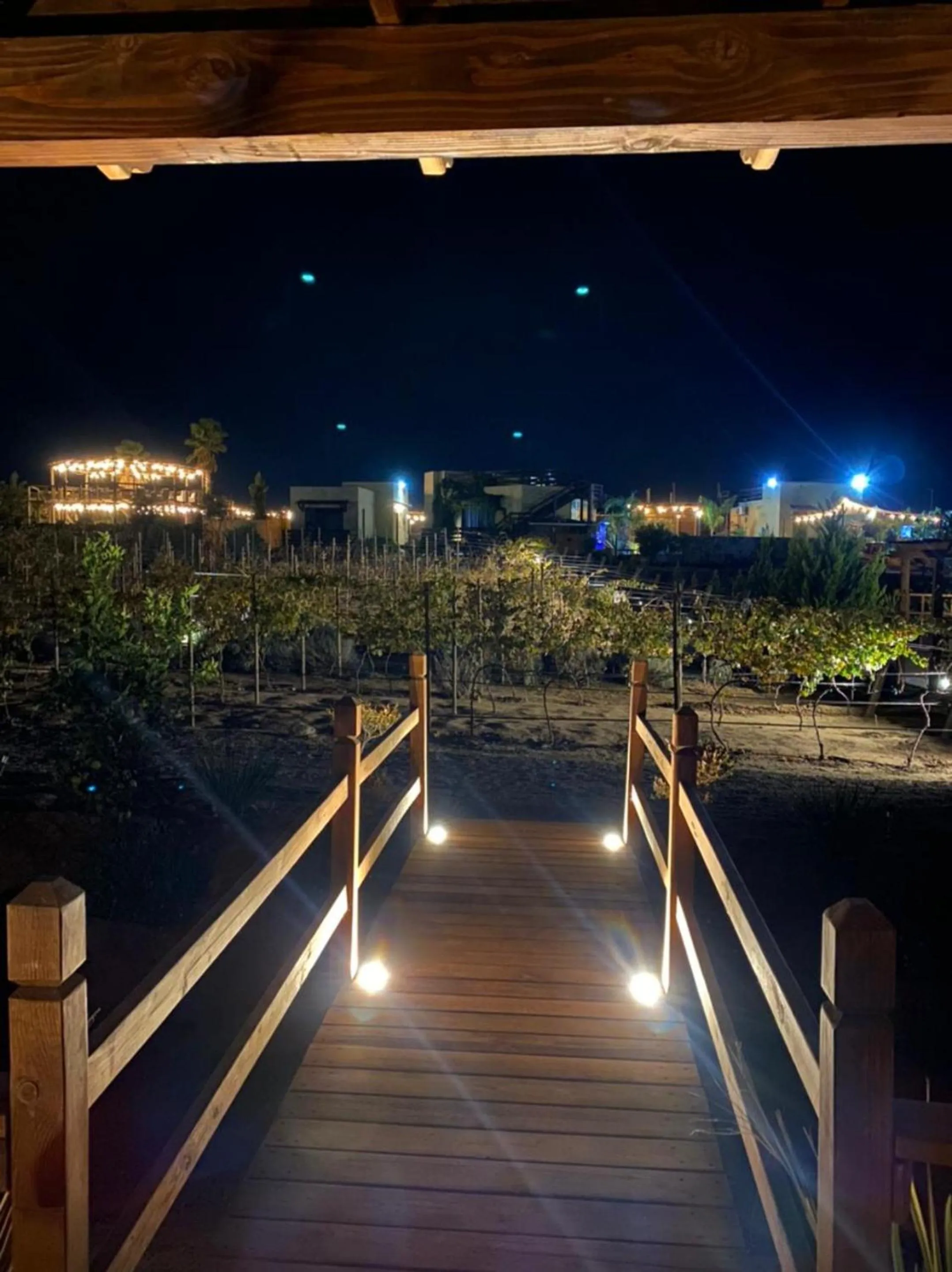 Garden view in Luna Del Valle