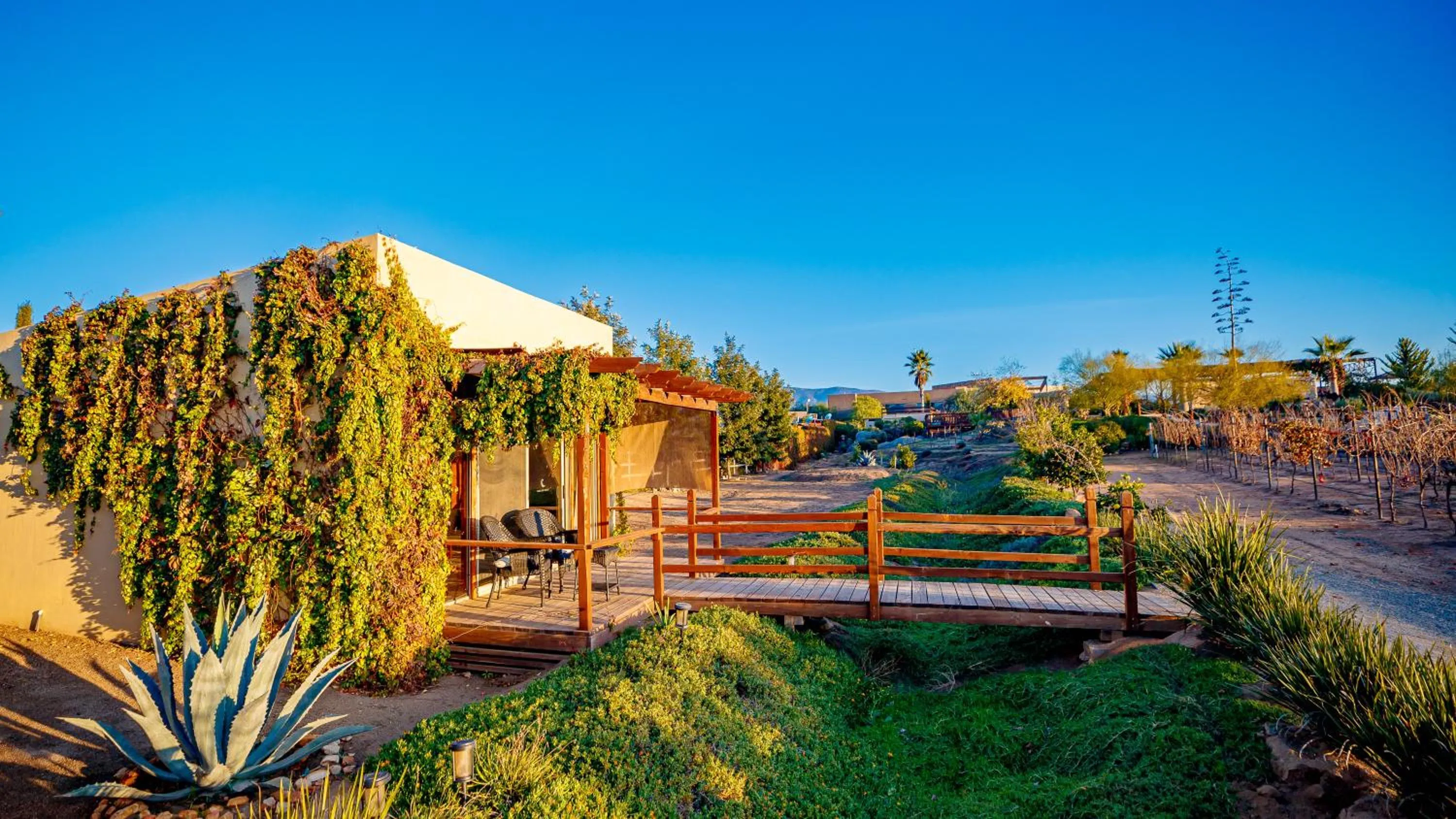 Garden in Luna Del Valle