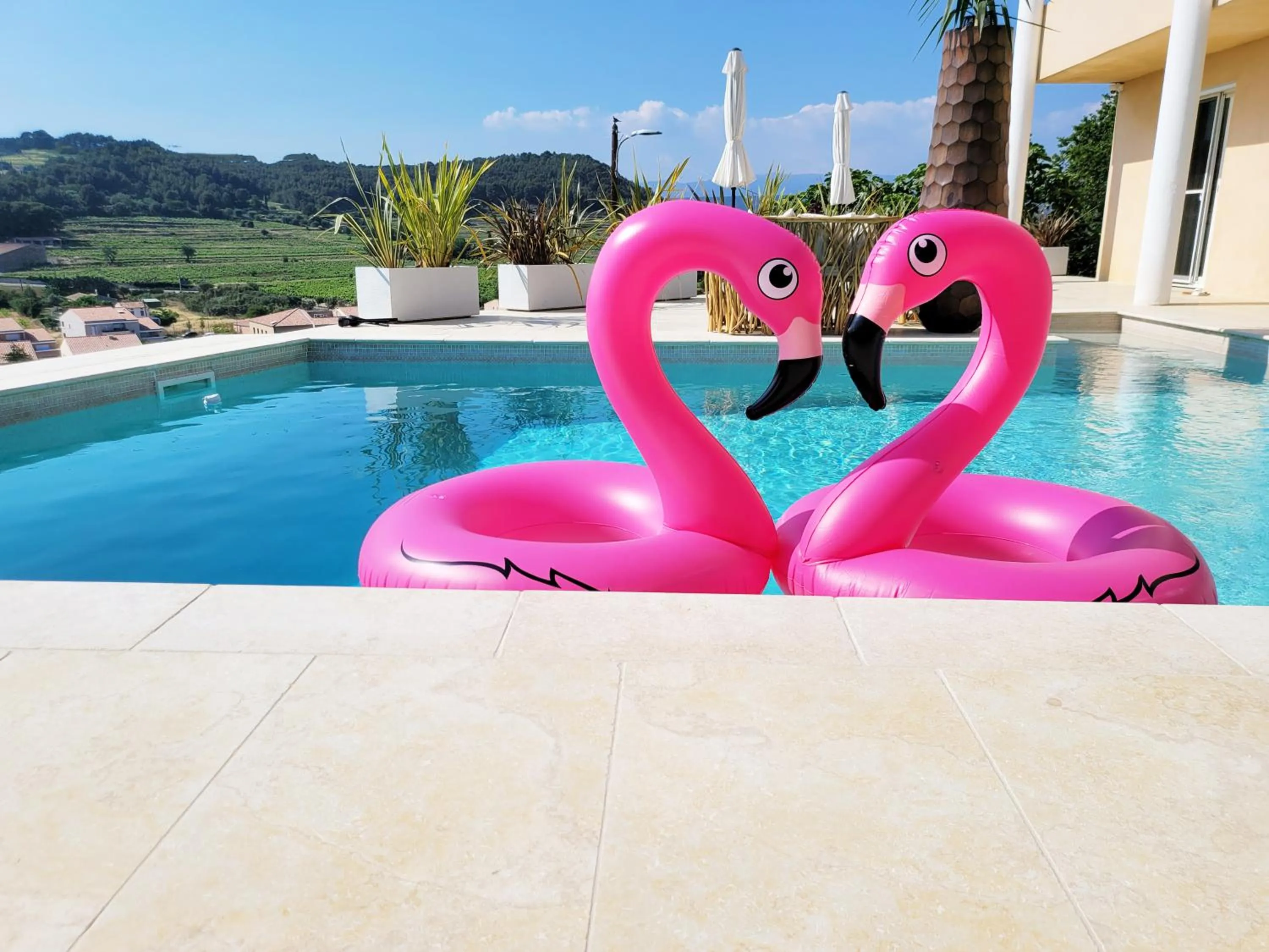 Swimming pool in Le Nid Bleu