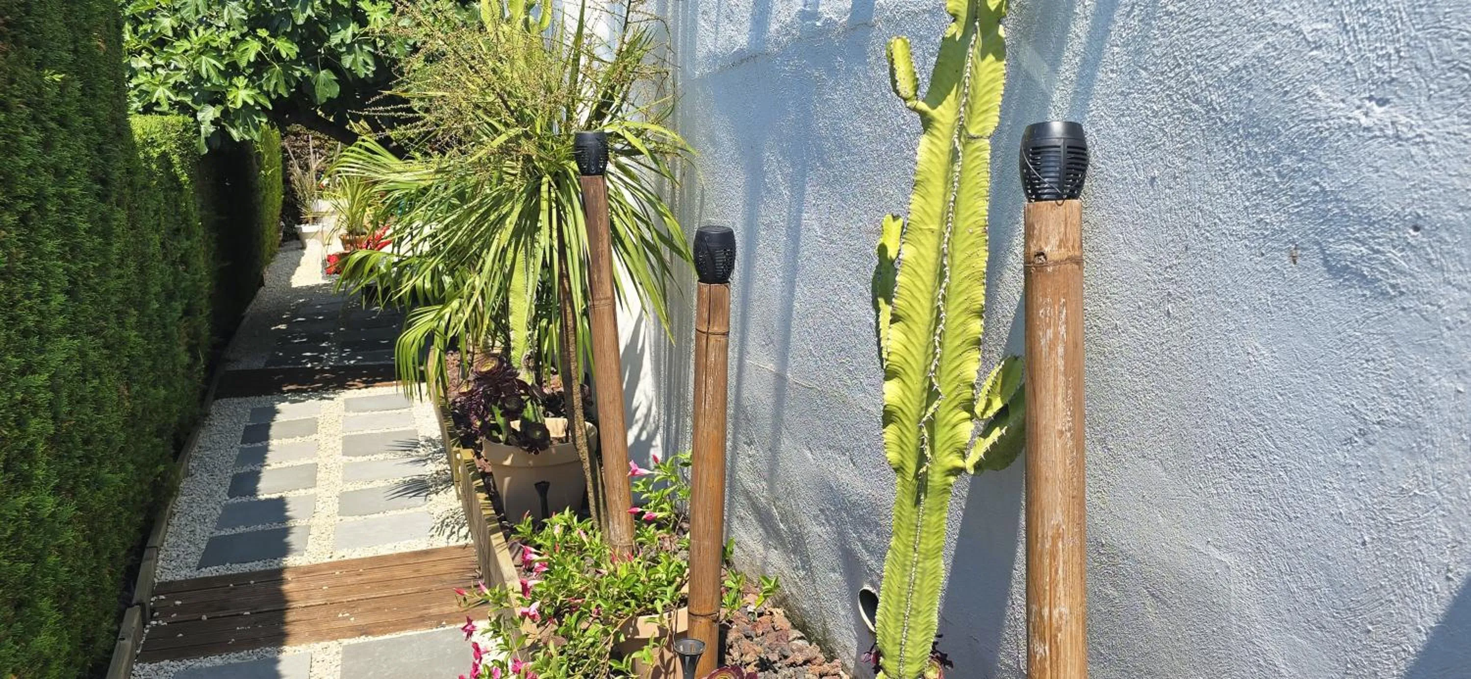 Garden in Le Nid Bleu