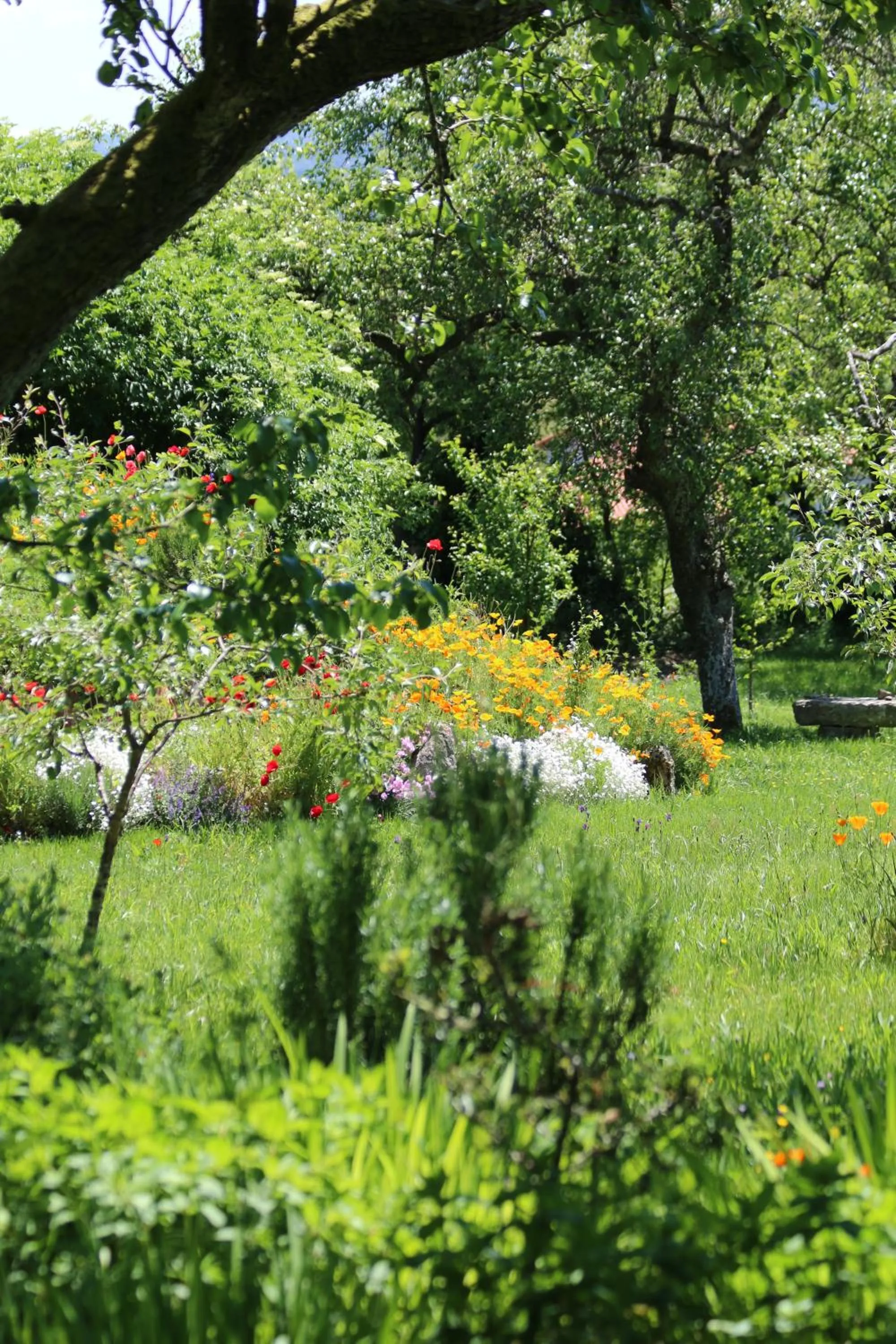 Garden in Pazo de Chaioso Ribeira Sacra
