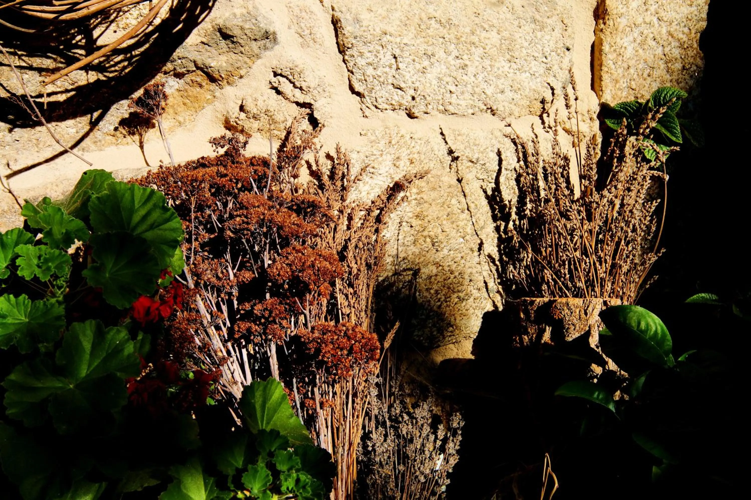 Decorative detail in Pazo de Chaioso Ribeira Sacra