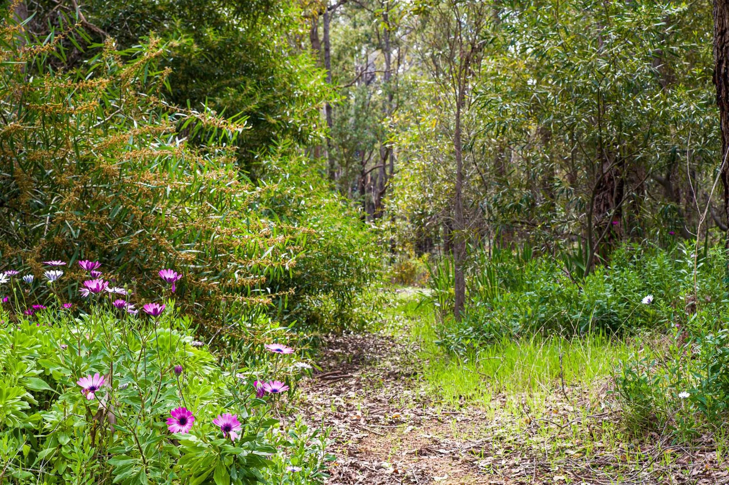 View (from property/room) in Travellers Rest Motel