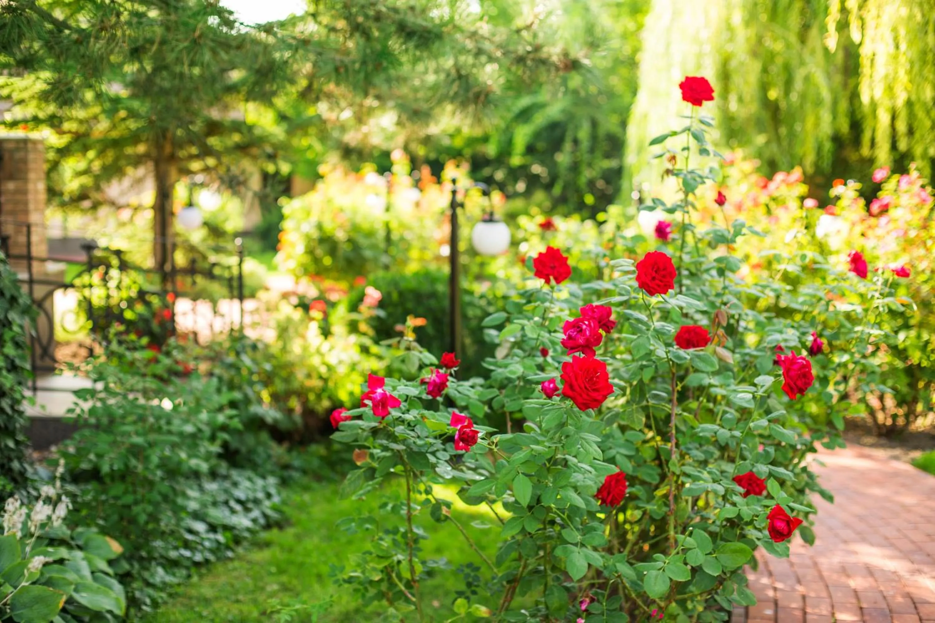 Spring in Villa Rosa