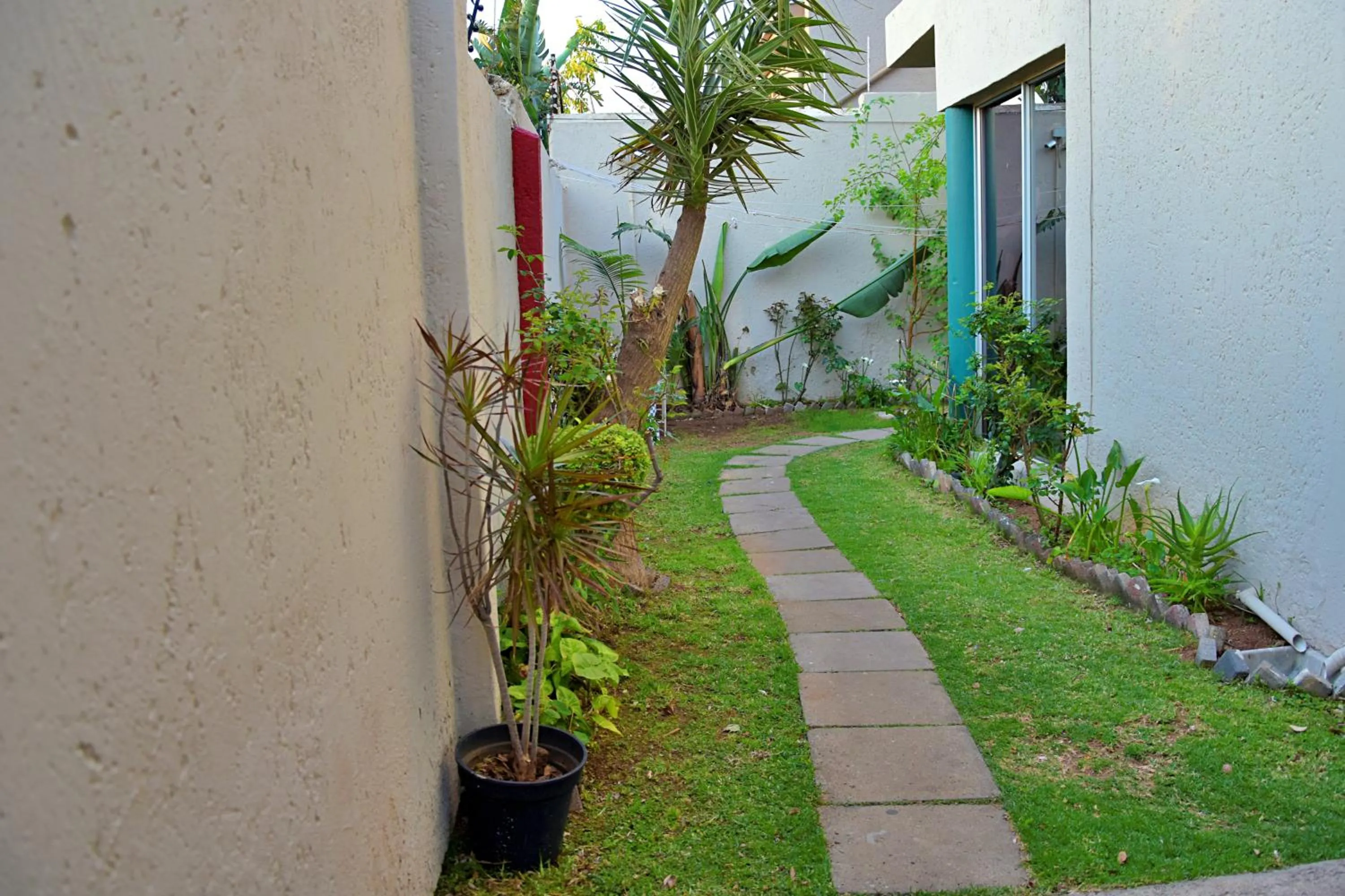 Garden in Houghton Guest House