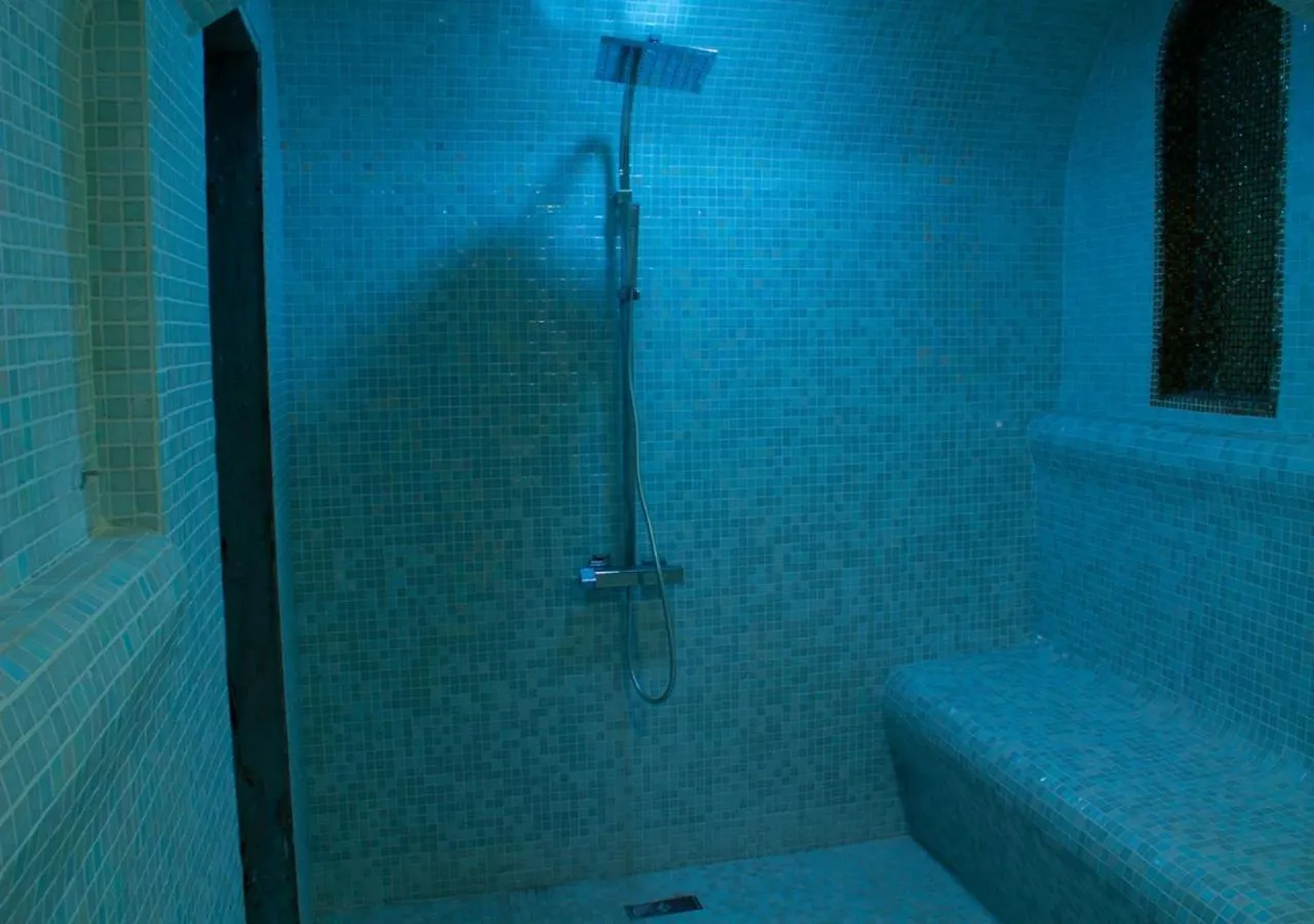 Steam room in Hôtel La Villa Racine