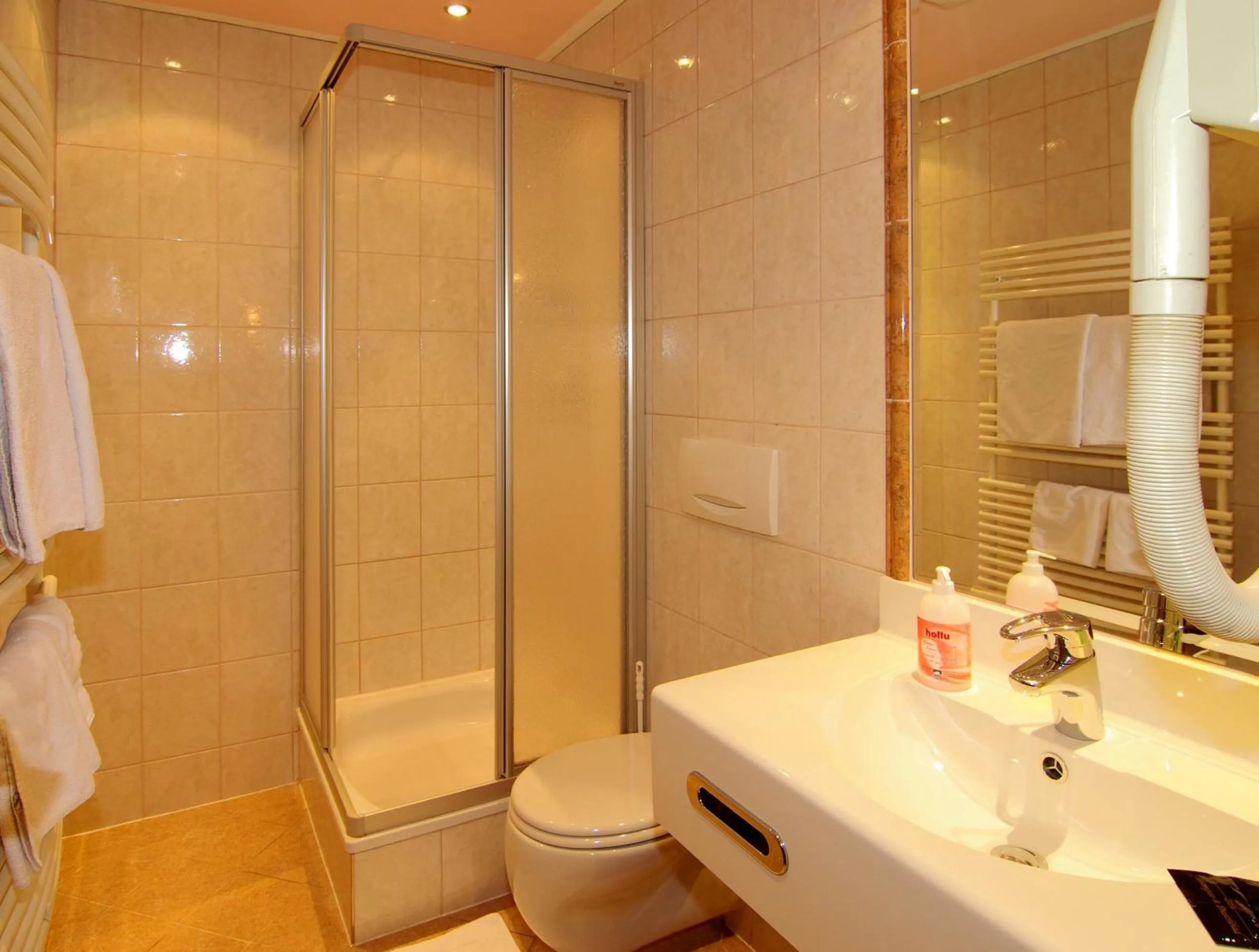 Bathroom in Hotel Hubertus