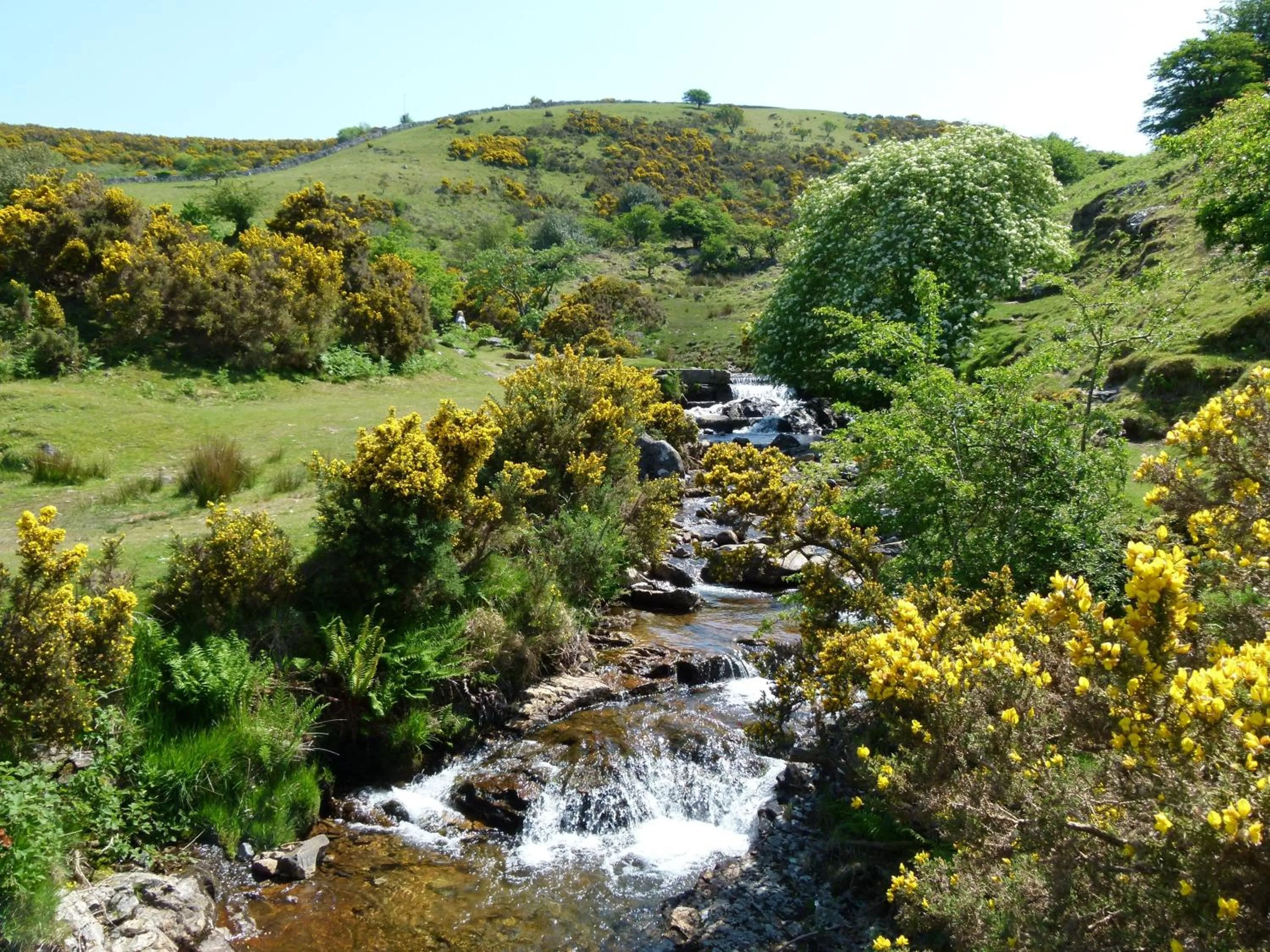 Hiking in Collaven Manor