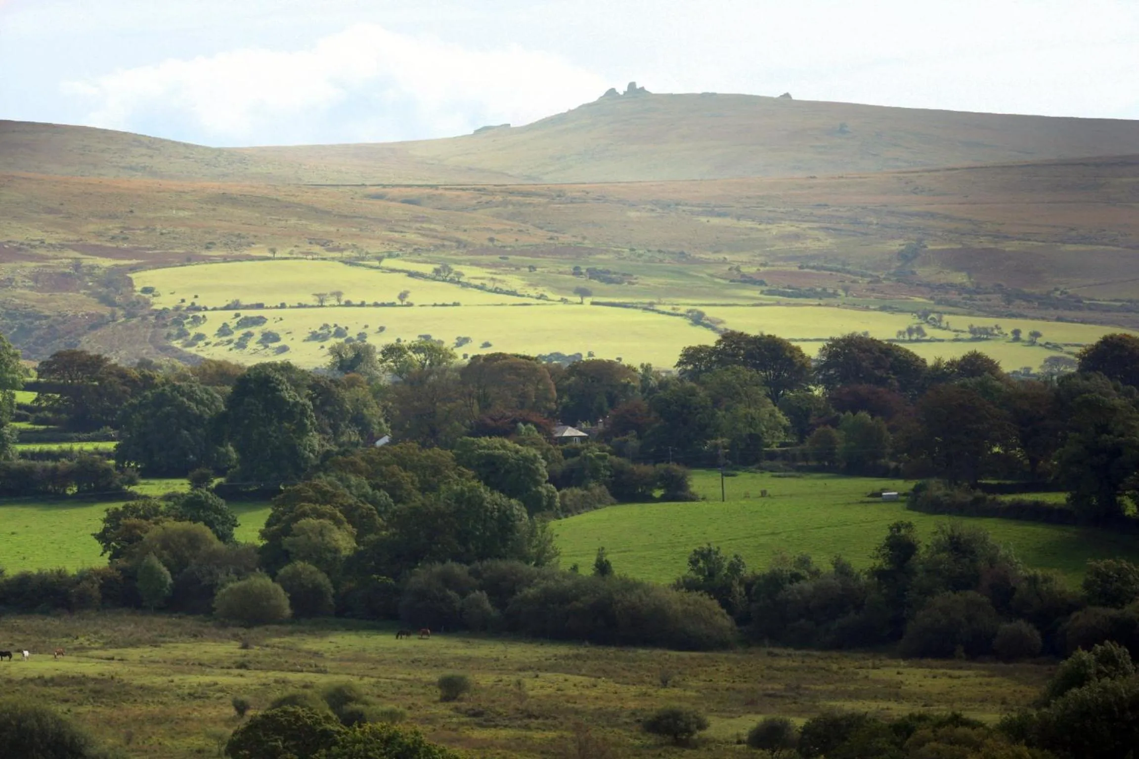 Area and facilities in Collaven Manor
