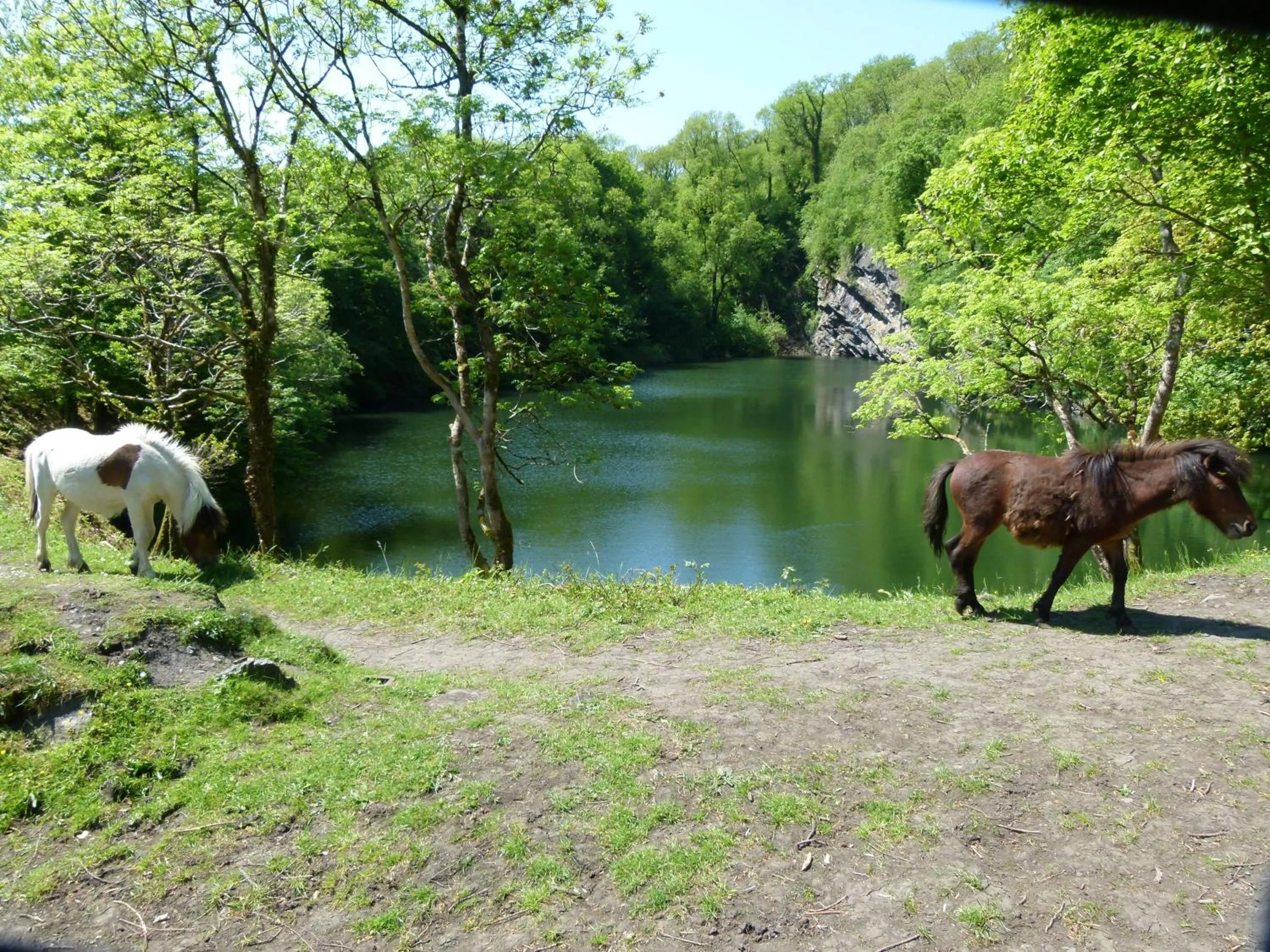 Natural landscape in Collaven Manor