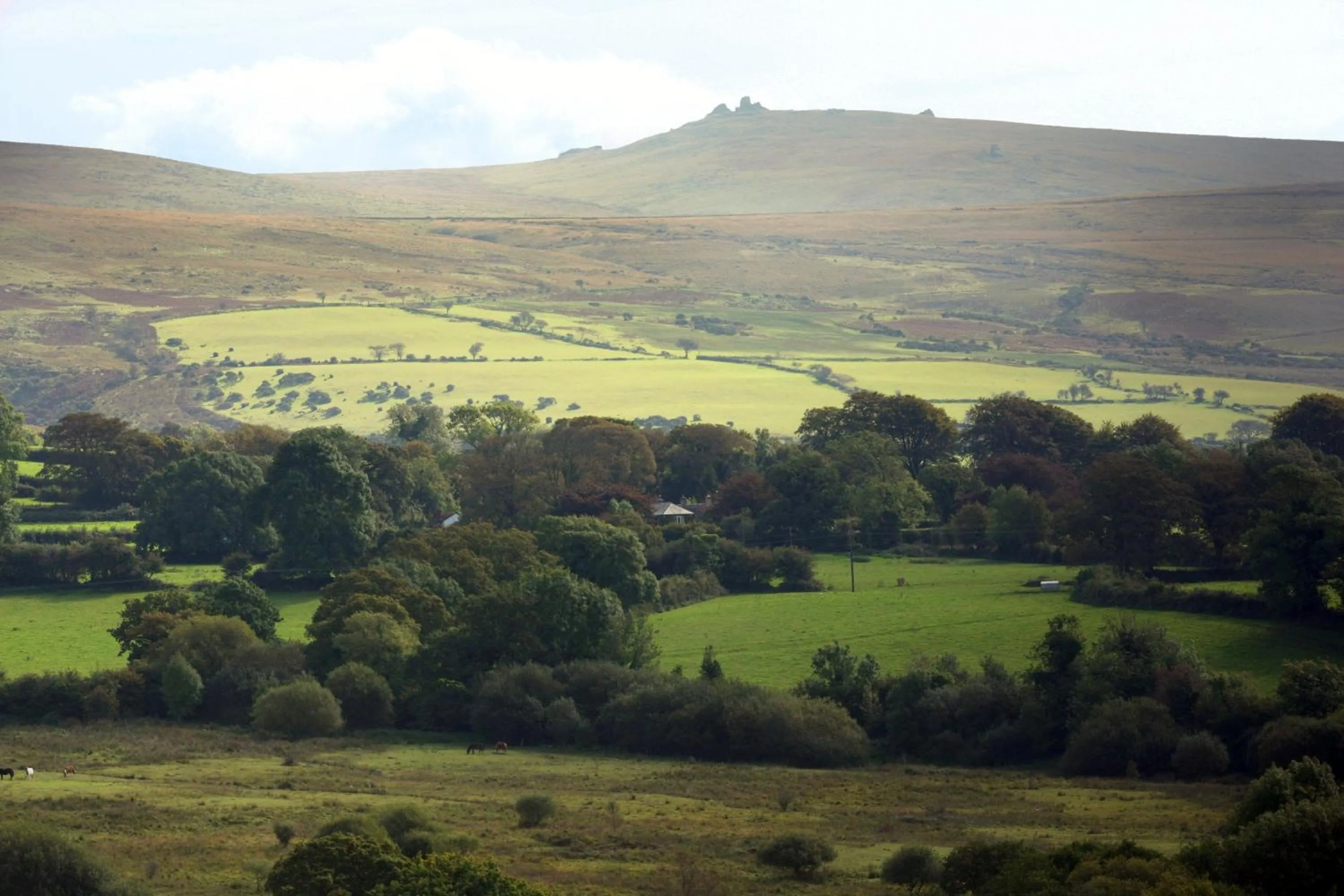 Bird's eye view in Collaven Manor