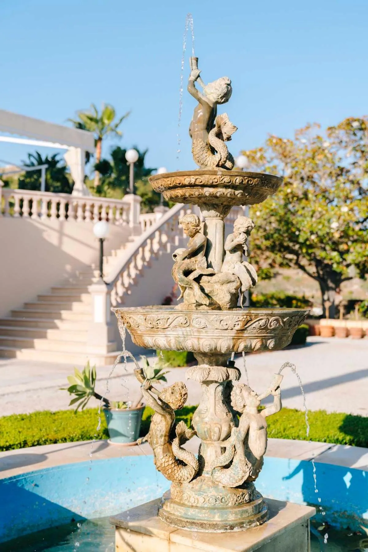 Garden in Casa de los Bates