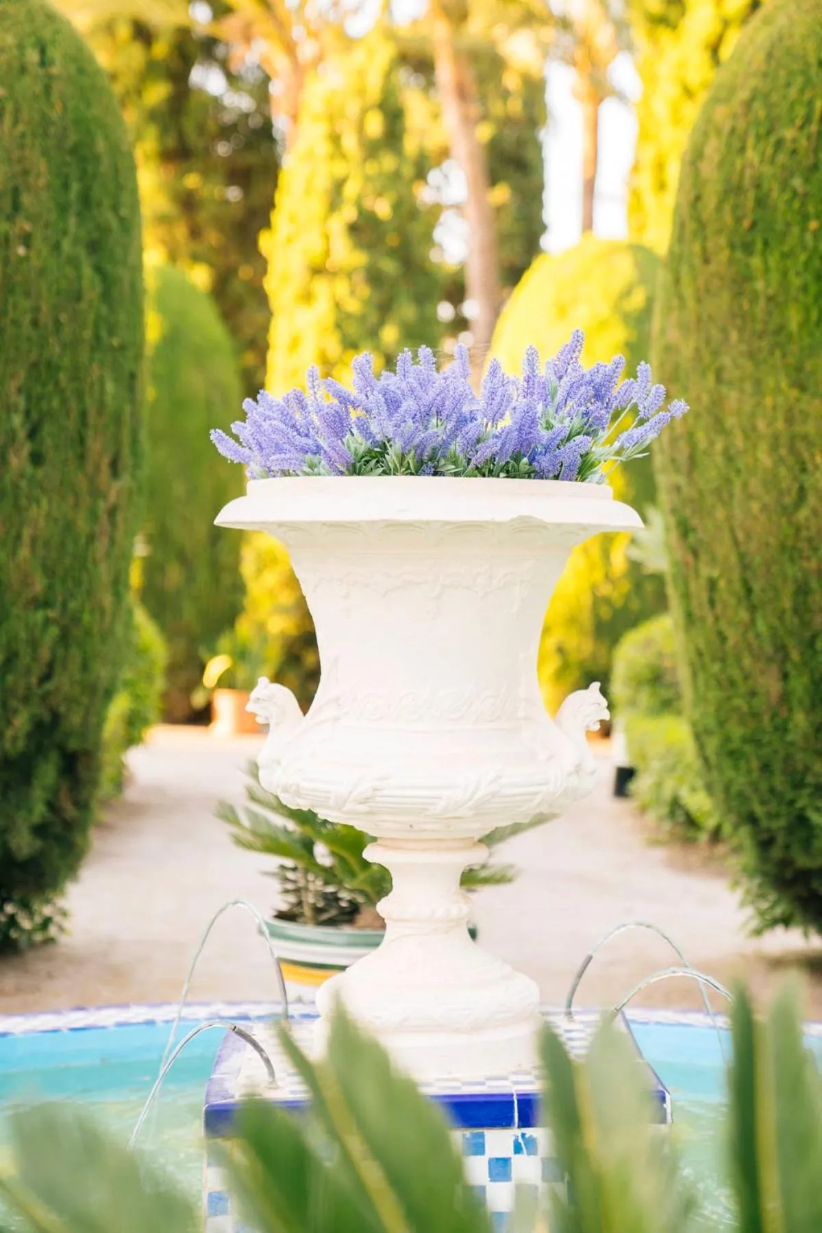Garden in Casa de los Bates