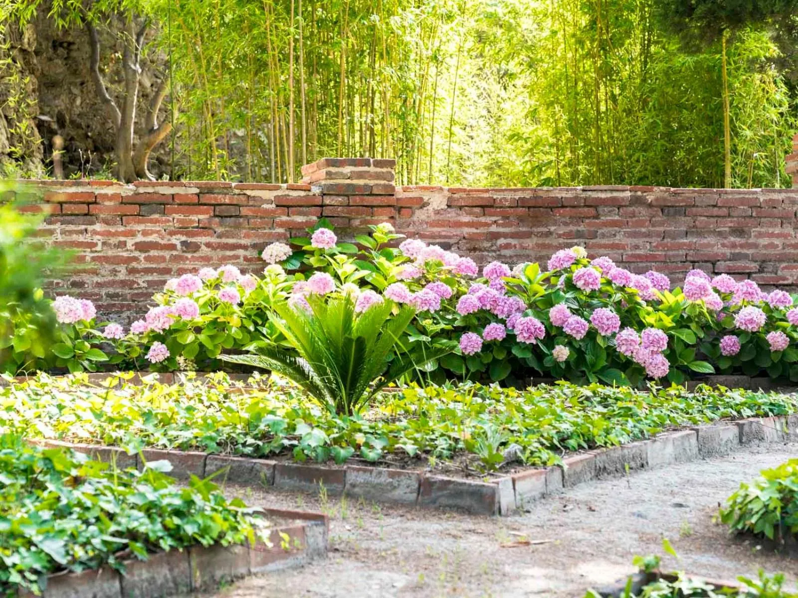 Garden in Casa de los Bates