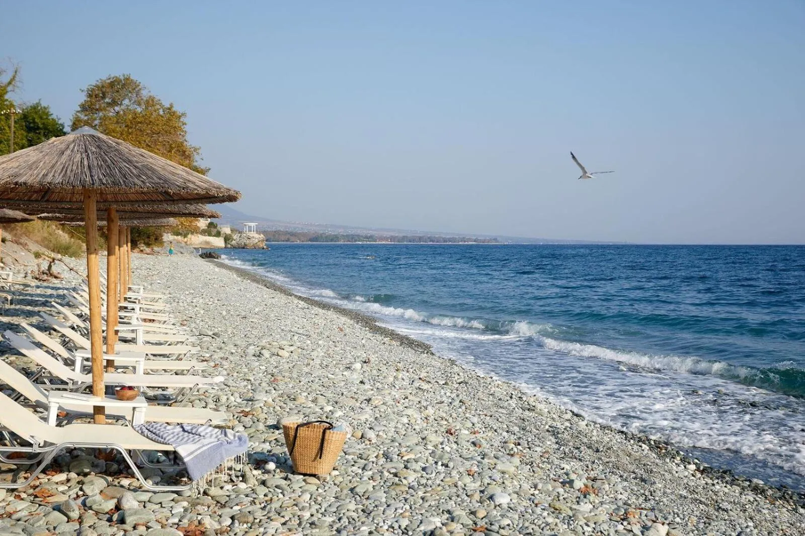 Beach in Hotel Alkyonis