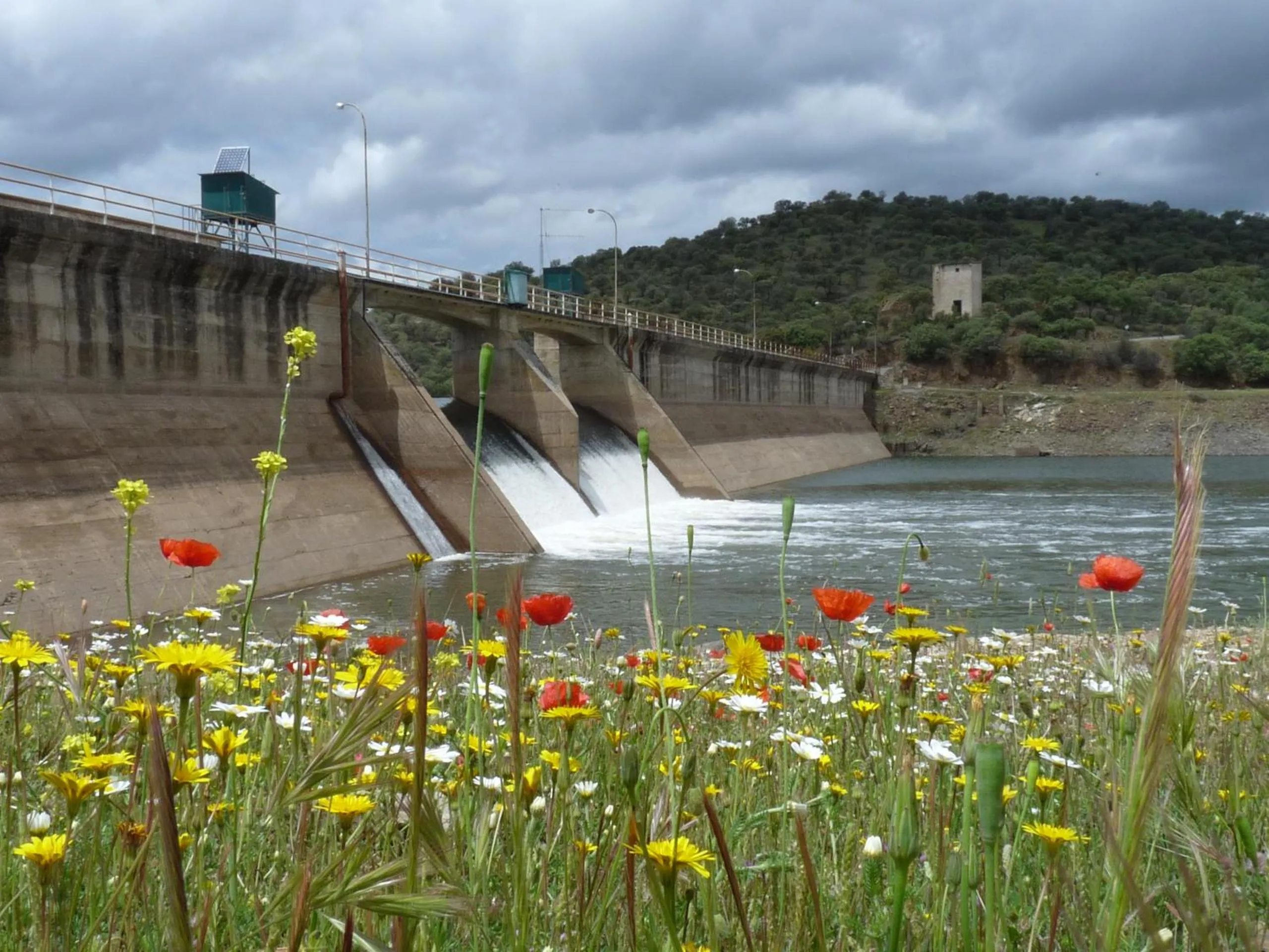 Natural landscape in Casa del Valle, Lodges