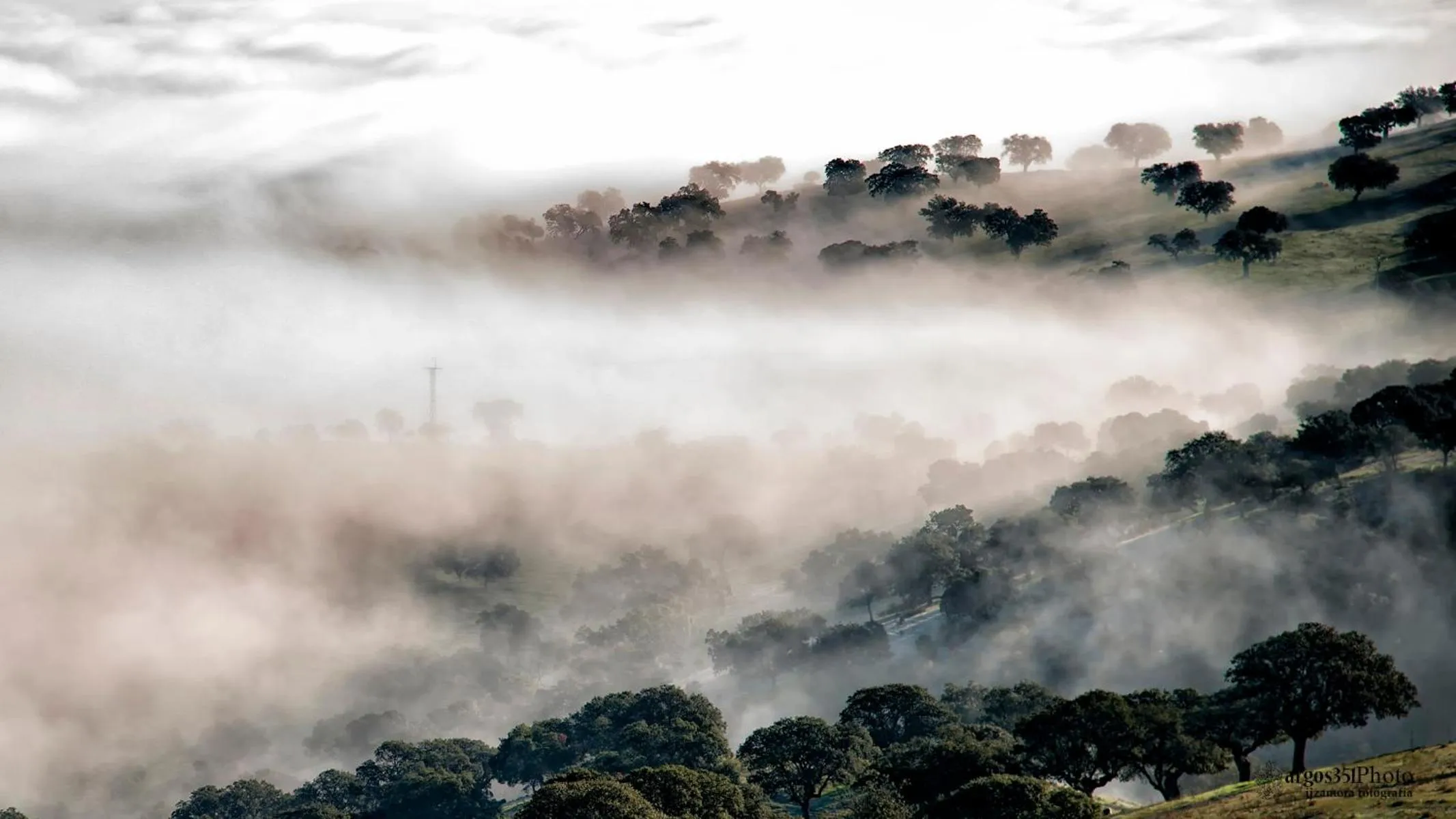 Natural landscape in Casa del Valle, Lodges