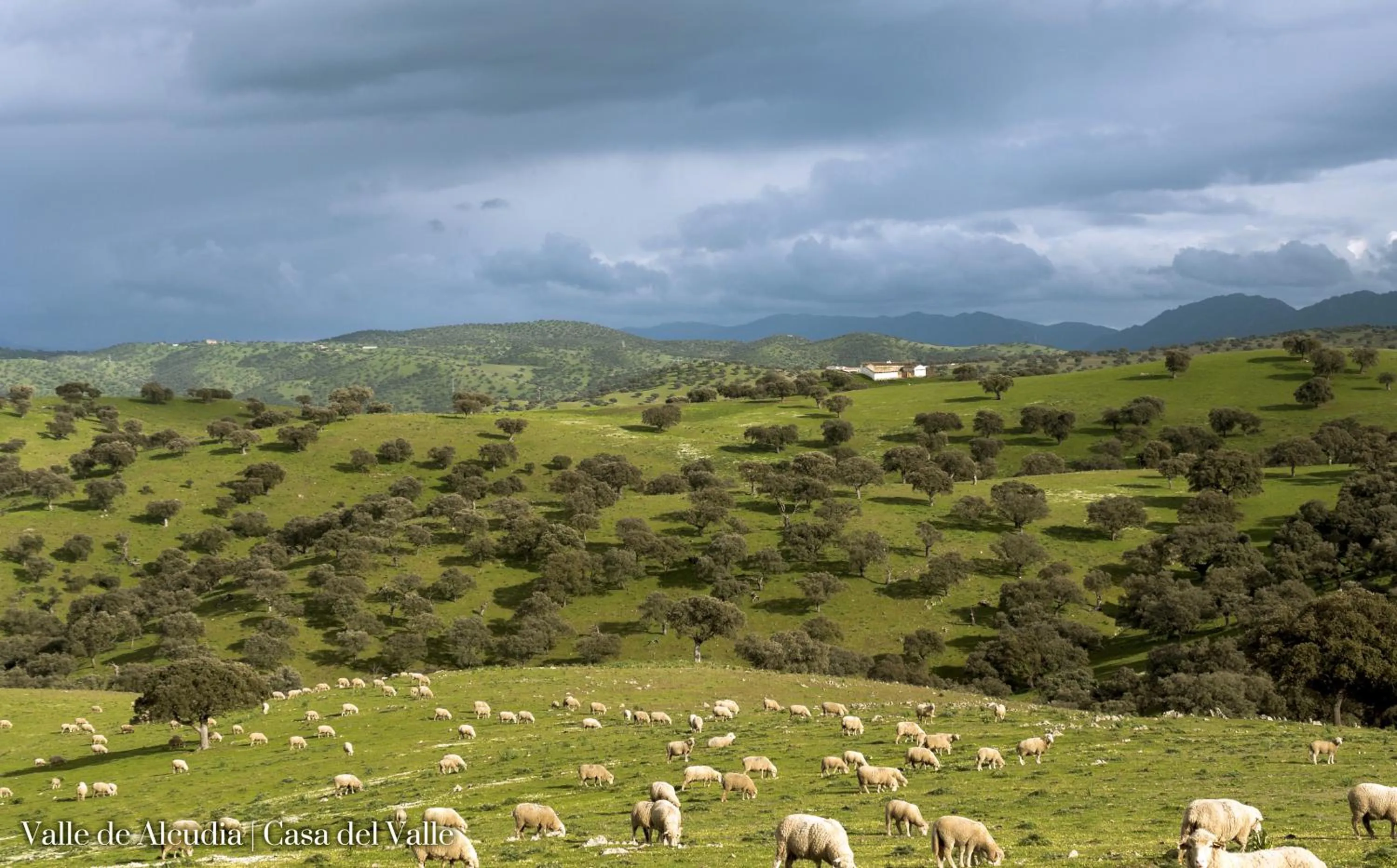 Natural landscape in Casa del Valle, Lodges