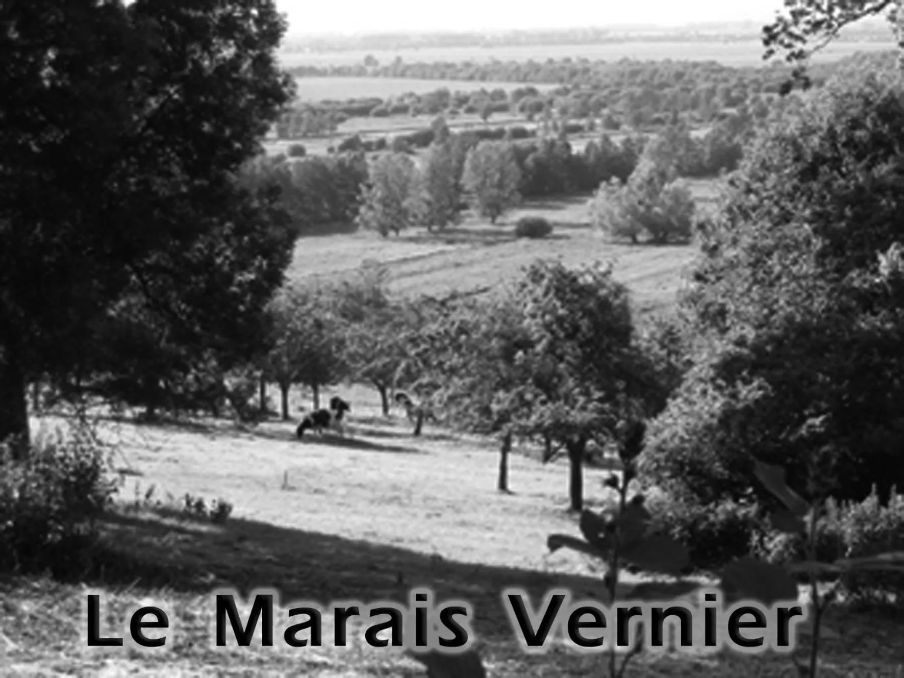 Studio duplex L'Ecole Buissonnière