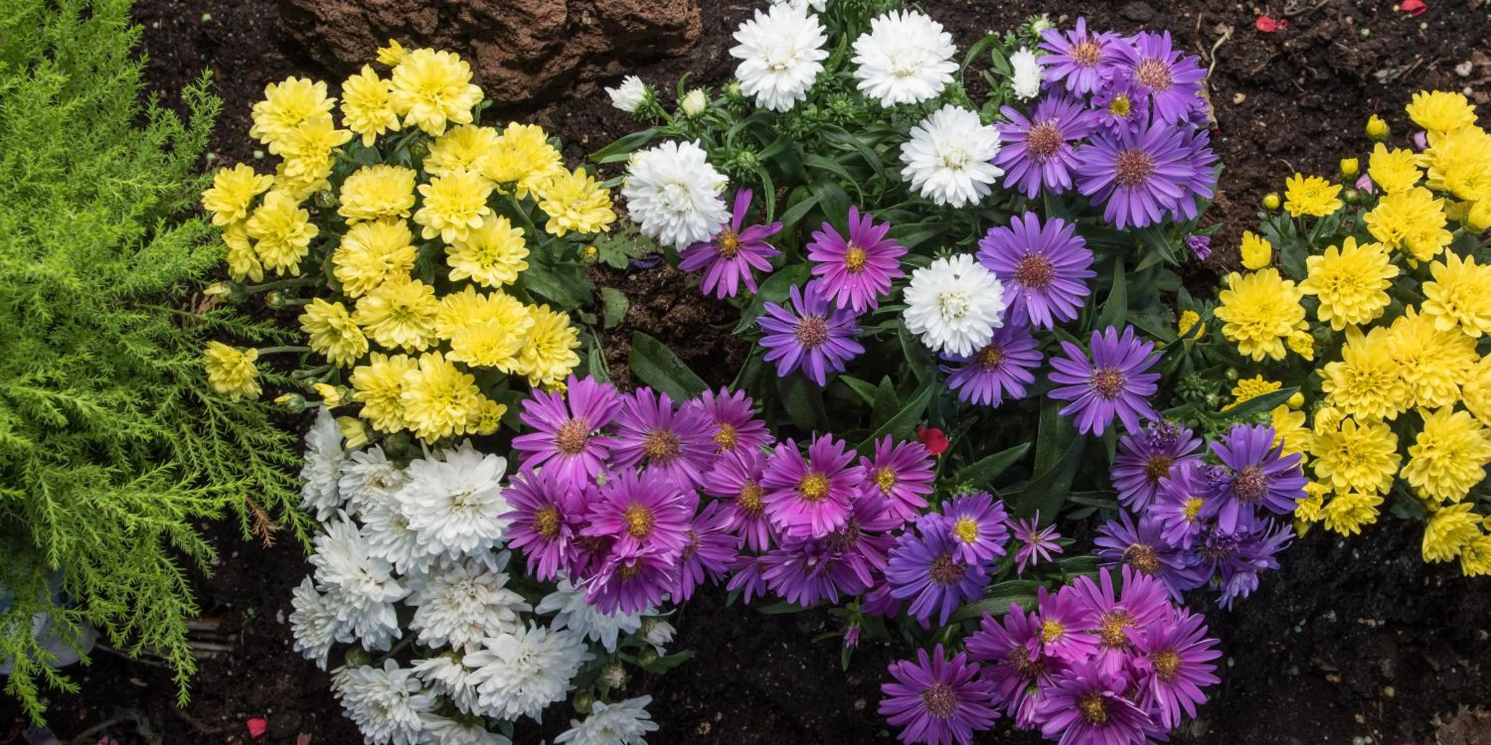 Garden view in Hotel Alpenrose