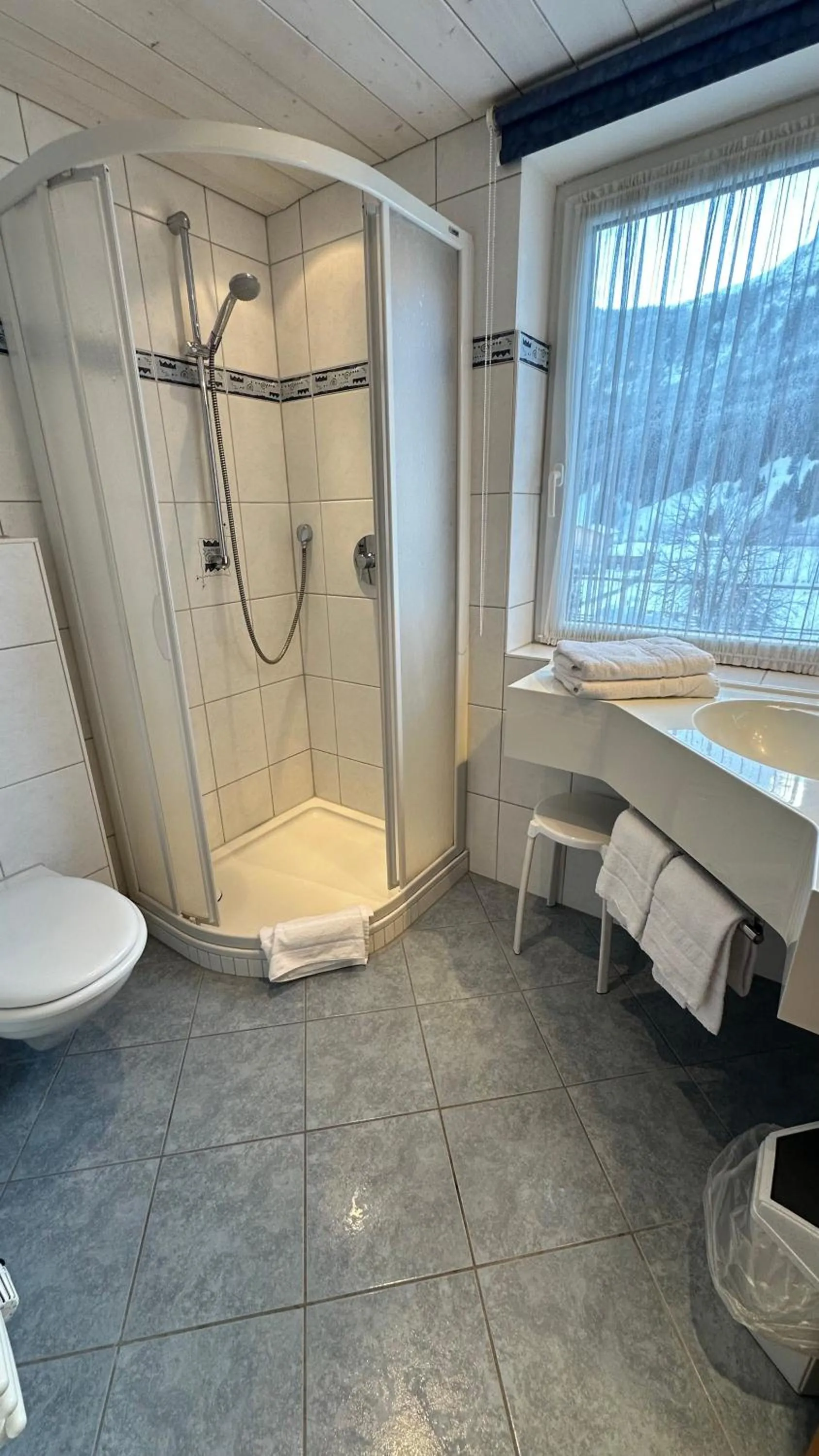 Shower in Hotel Alpenrose