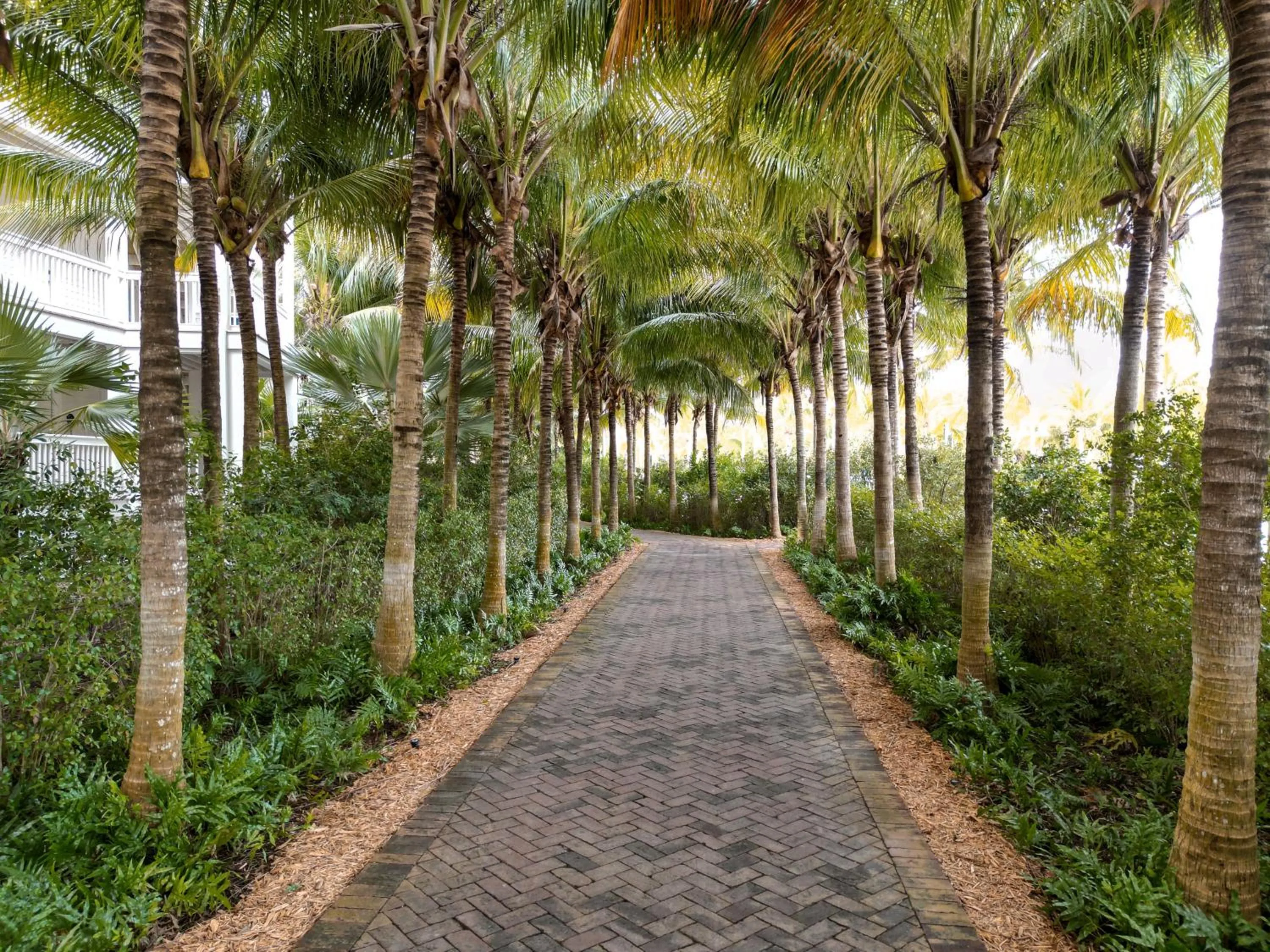 Natural landscape in Isla Bella Beach Resort & Spa - Florida Keys