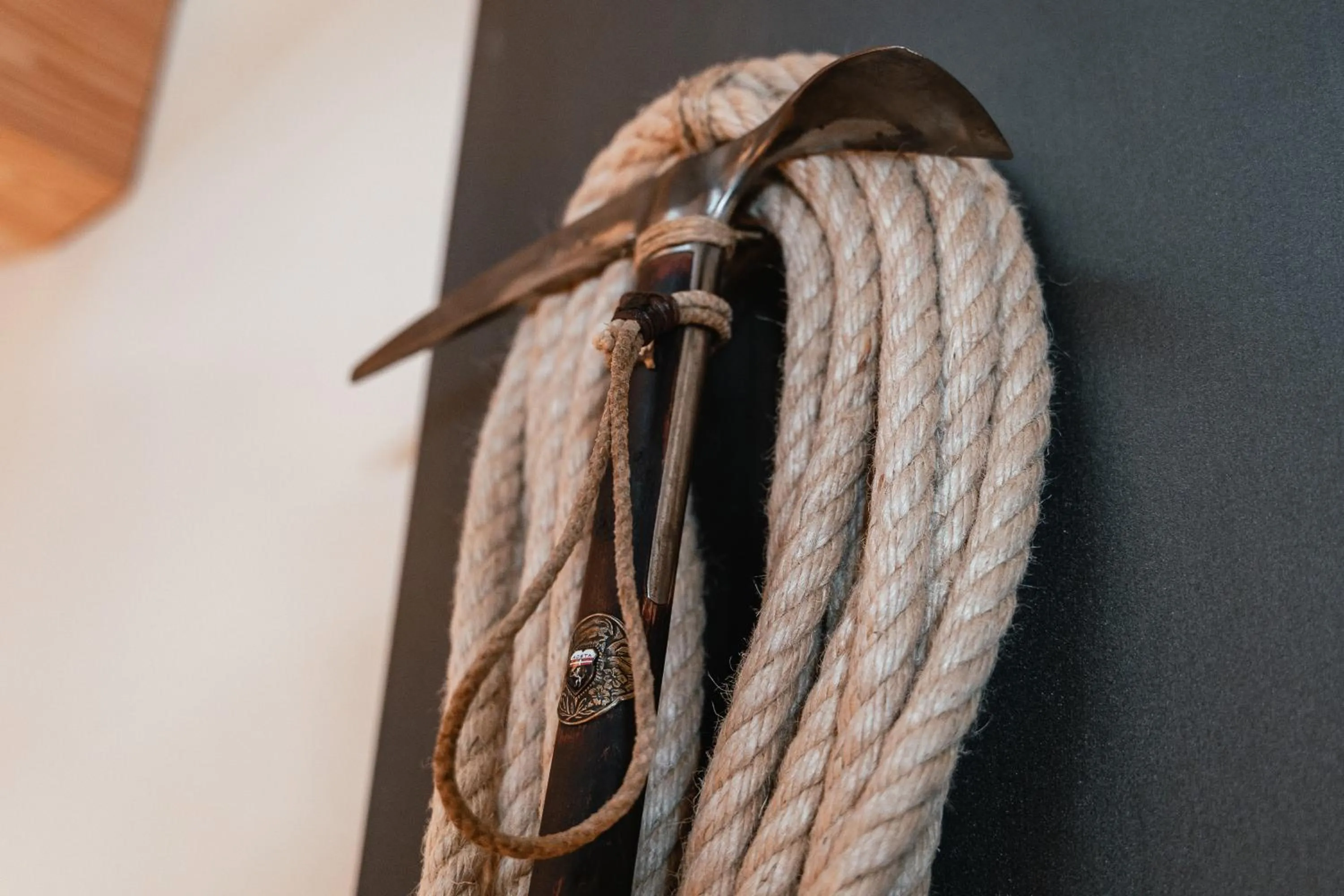 View (from property/room) in Residence Les Coupoles