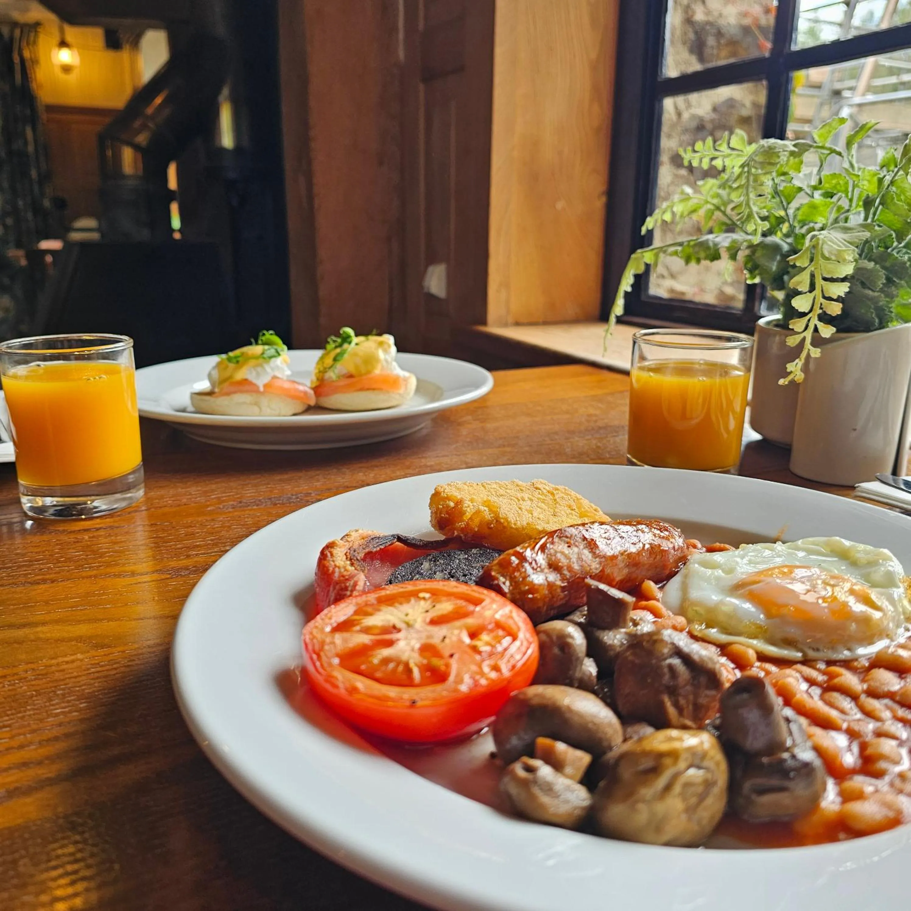 Restaurant/places to eat in Lakeview Manor