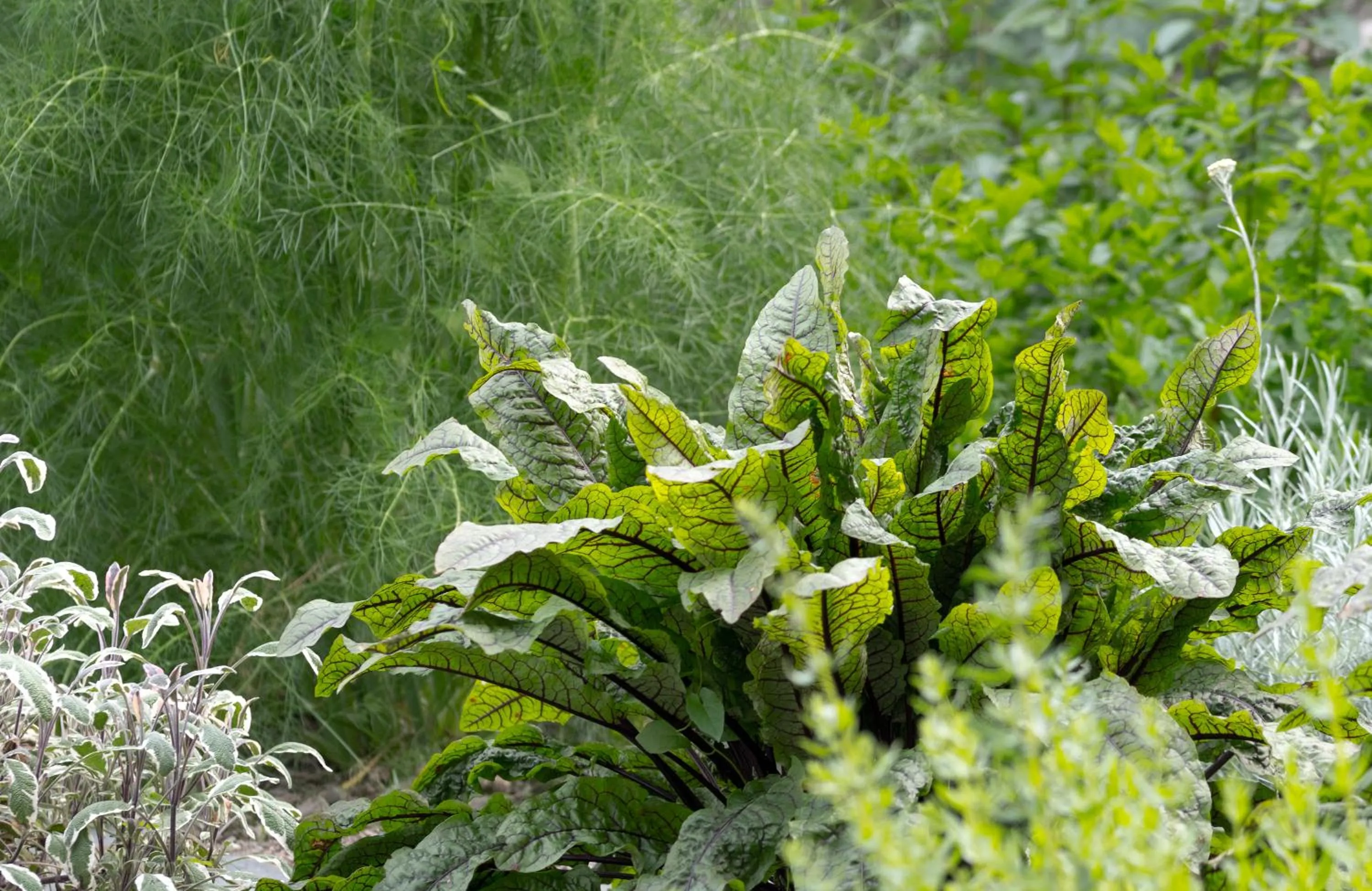 Natural landscape in Le Relais