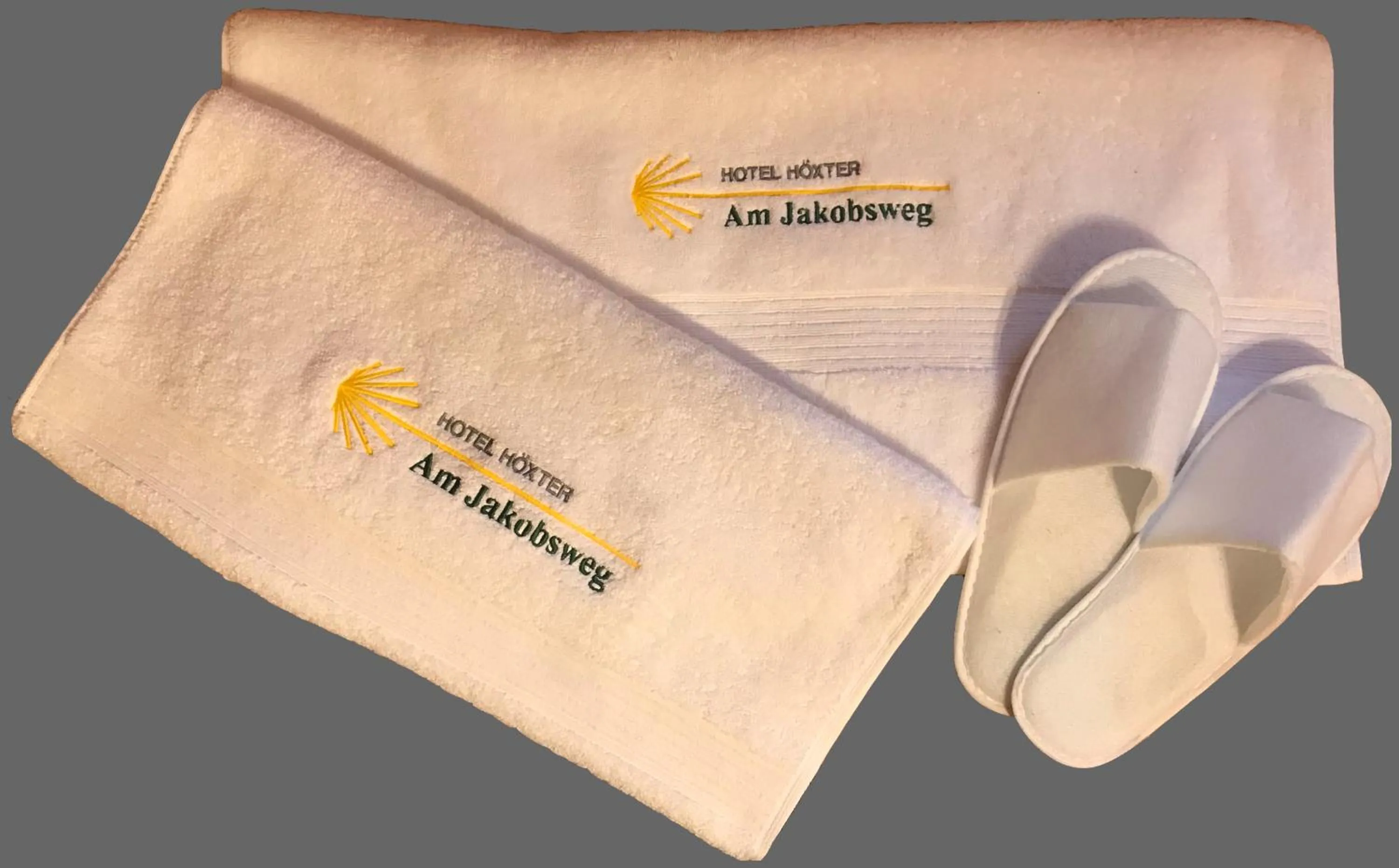 Property logo or sign in Hotel Hoxter Am Jakobsweg