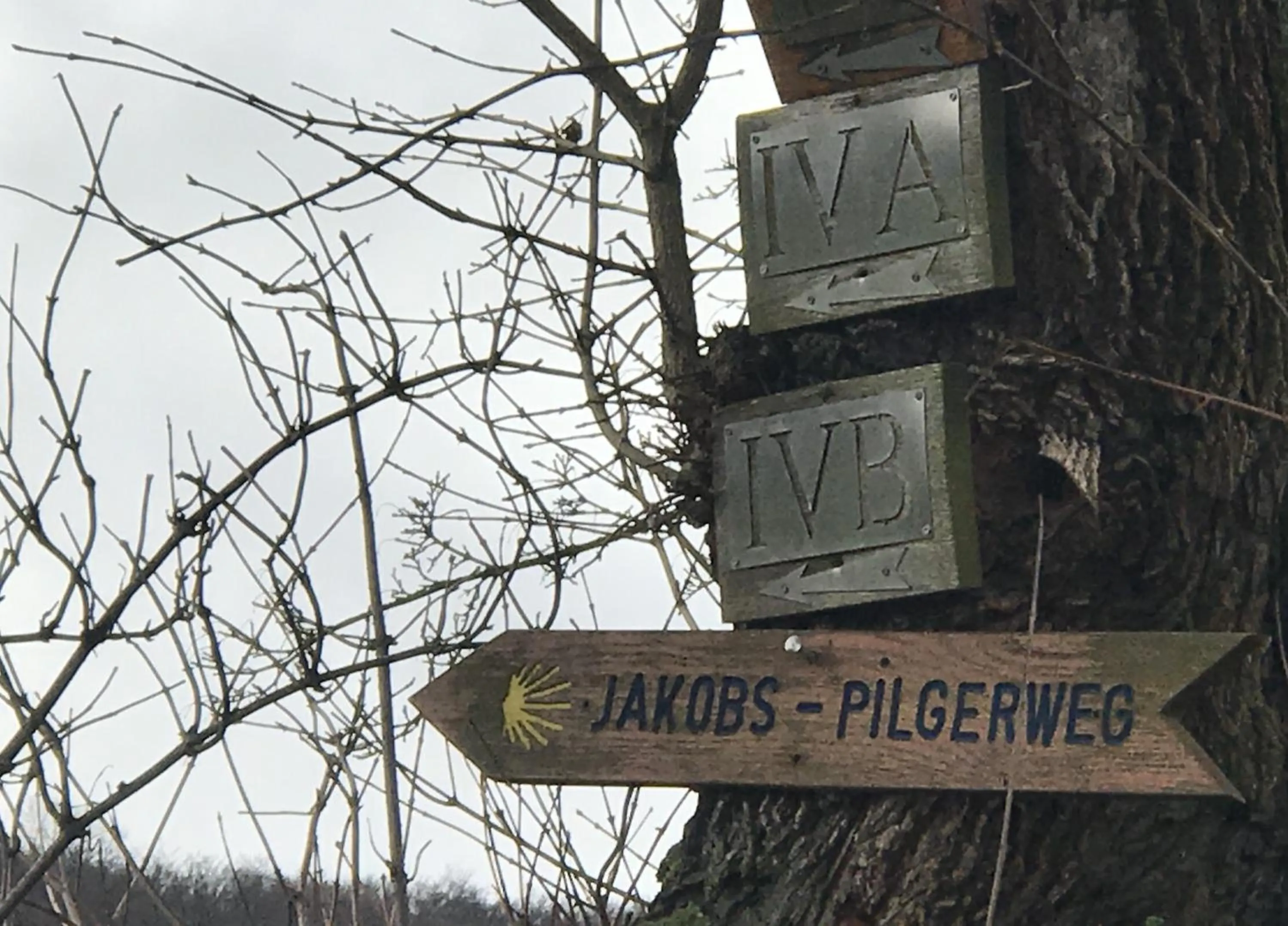 Hiking in Hotel Hoxter Am Jakobsweg