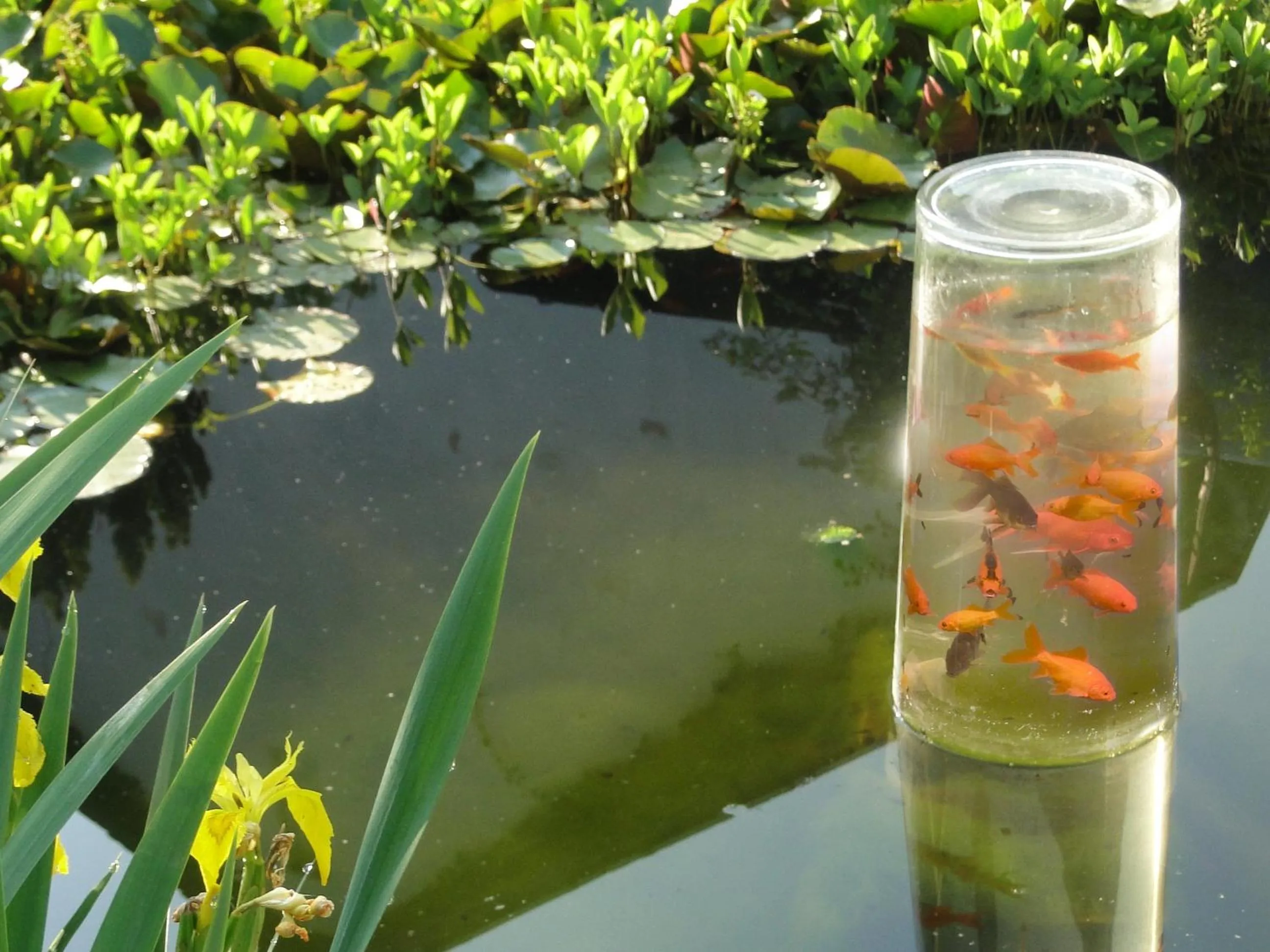 Garden in Hotel Hoxter Am Jakobsweg