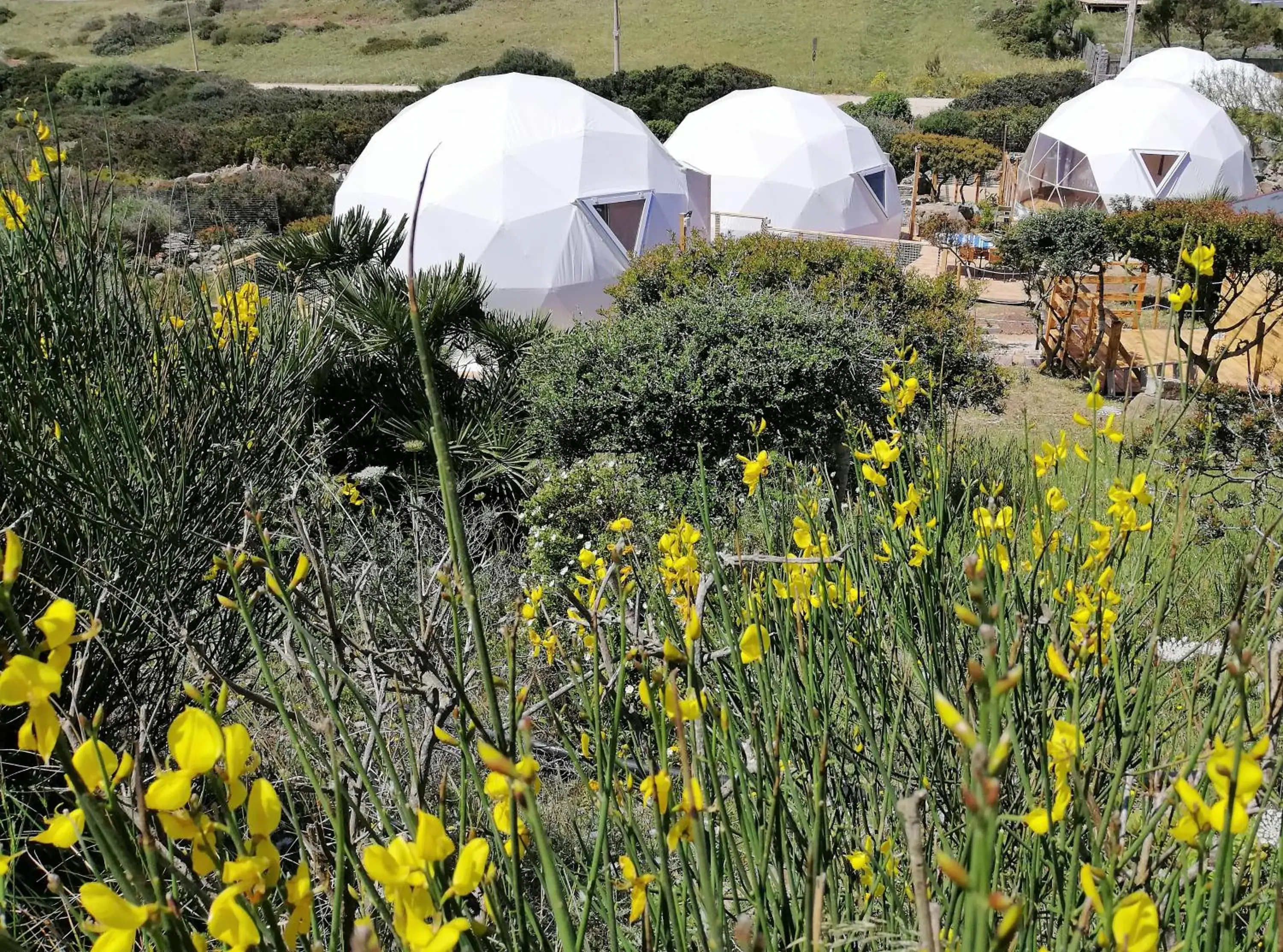 B&B Glamping Semaforo Capo Sperone B&B Glamping Semaforo Capo Sperone