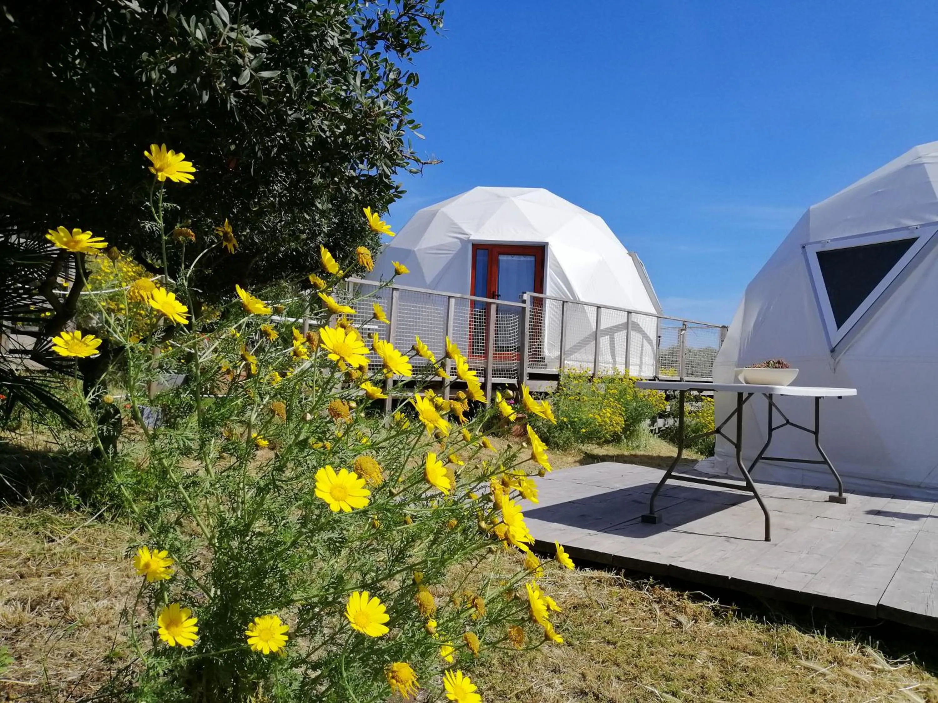 Property building in B&B Glamping Semaforo Capo Sperone