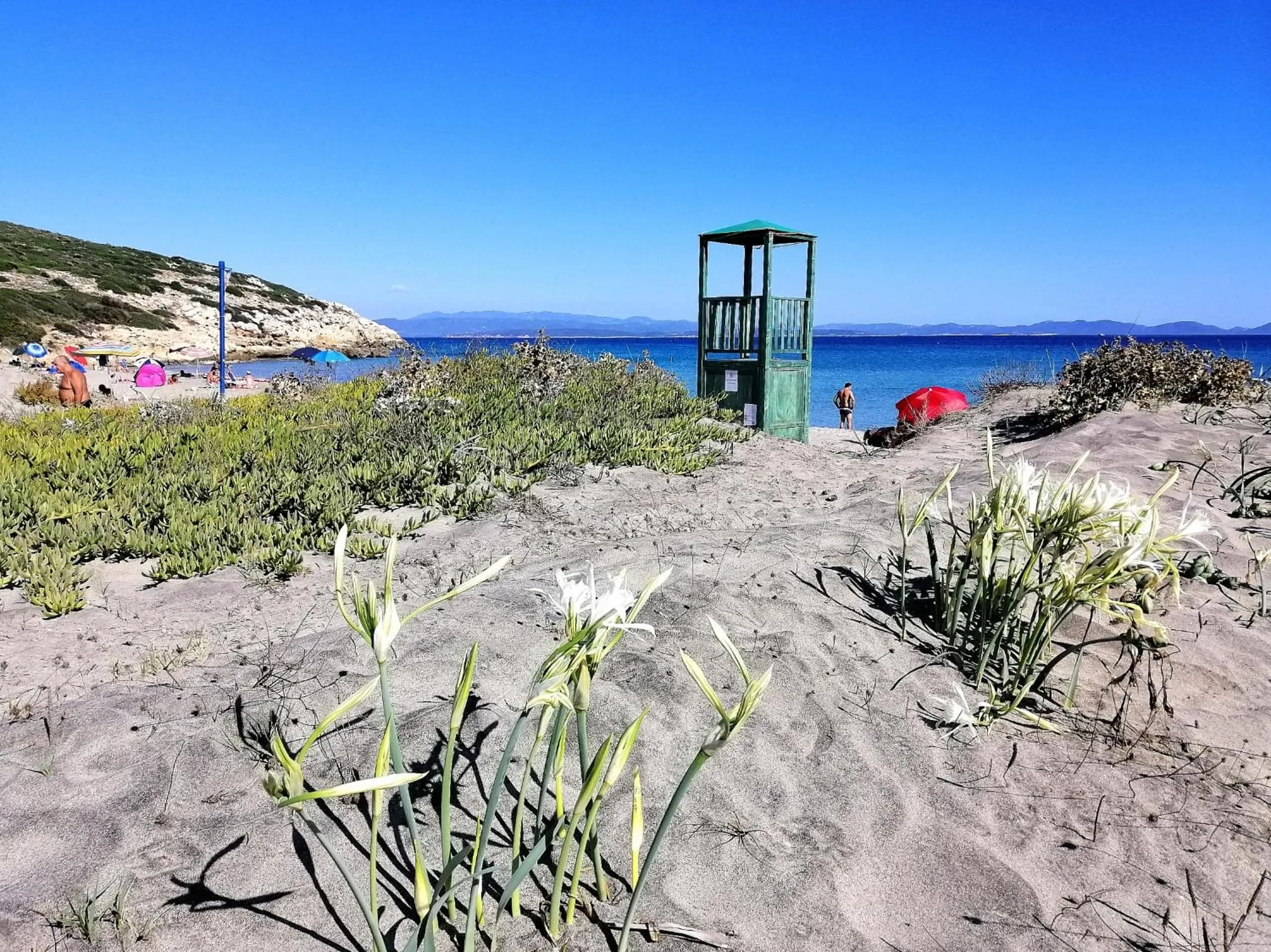 Beach in B&B Glamping Semaforo Capo Sperone
