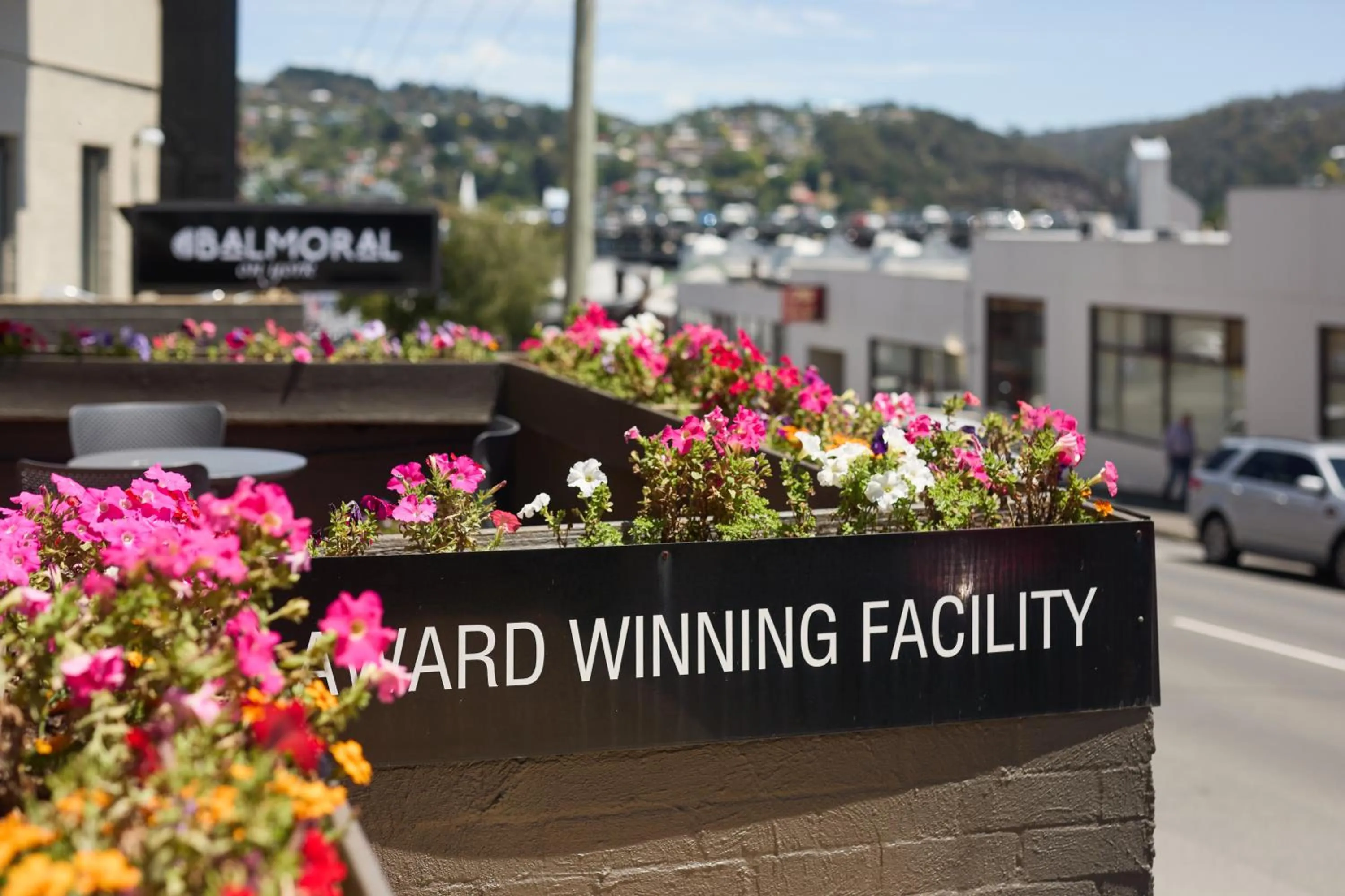 Day in Balmoral On York