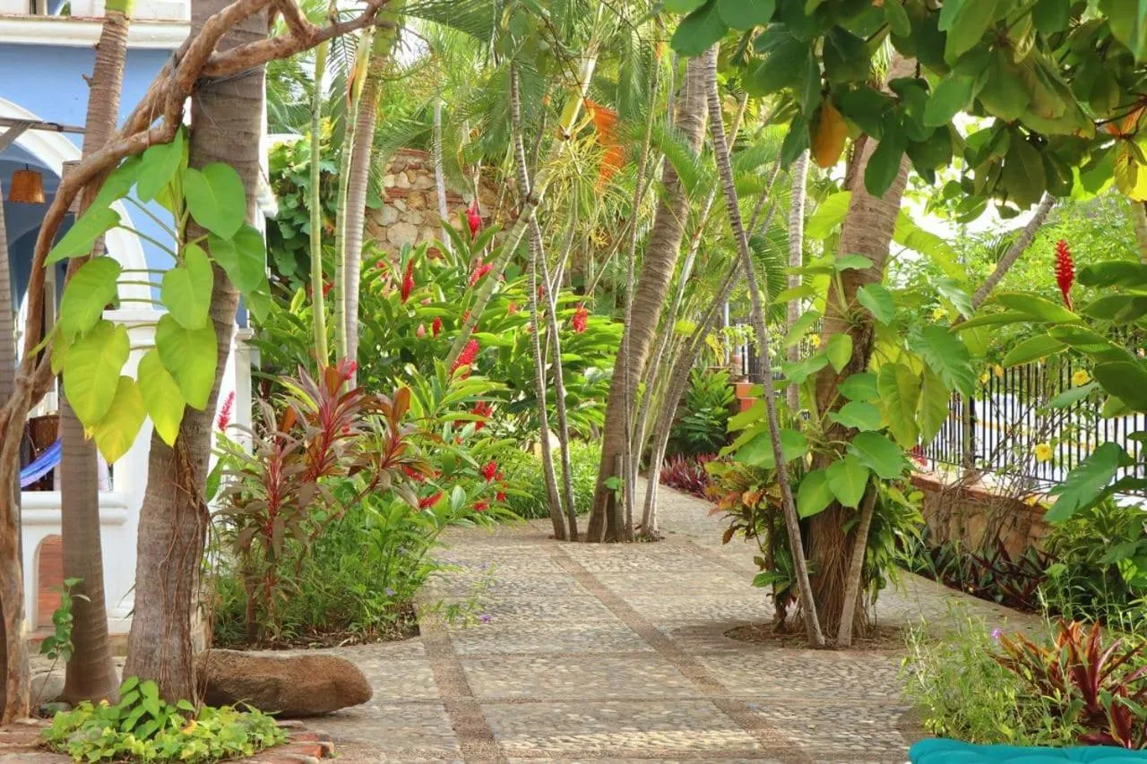 Garden in Bungalows Santa Cruz